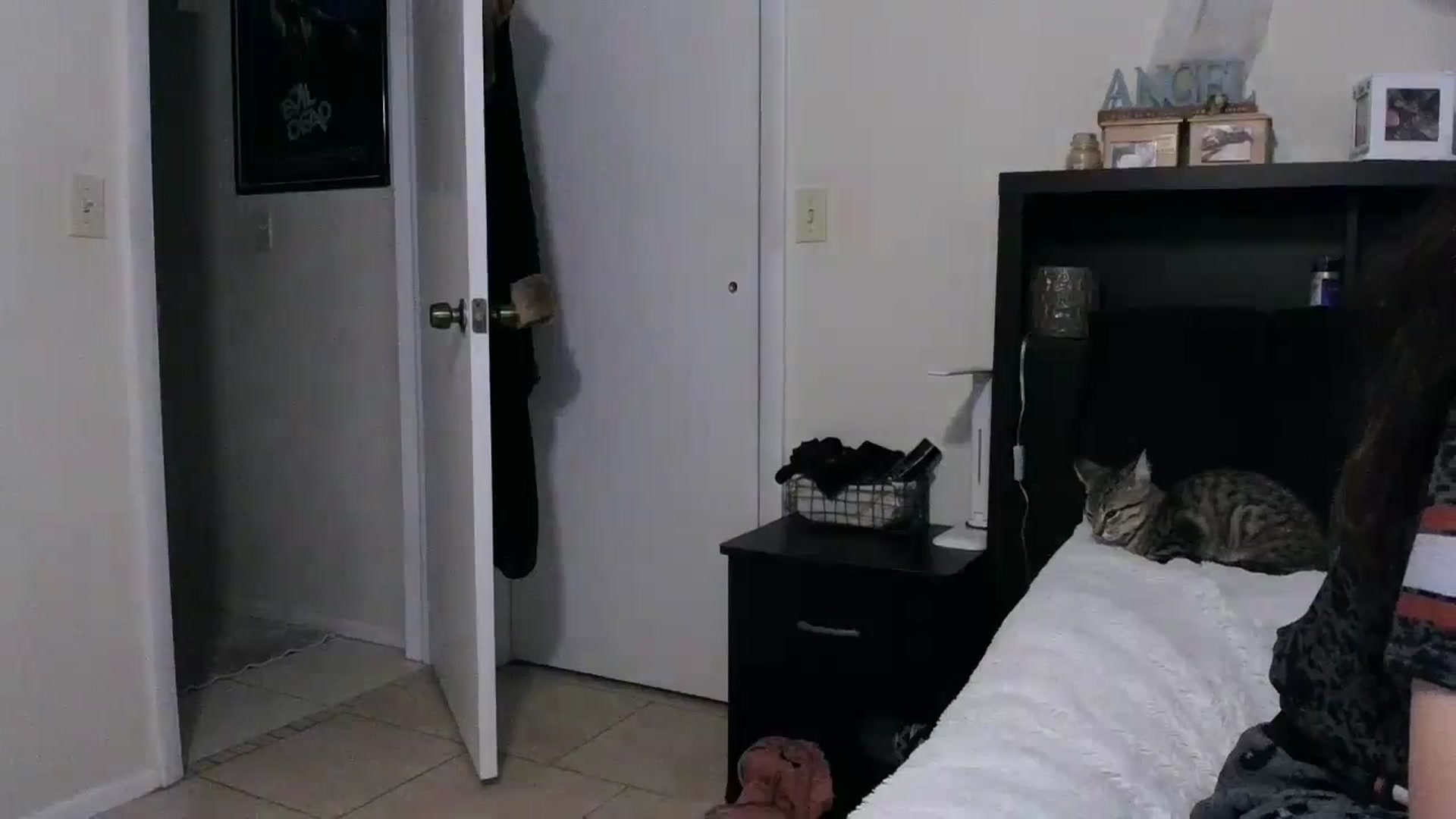 Gallery image thumbnail from CrystalLake's myfreecams stream on, 06/24/2024, 09:28 image 15 of 20