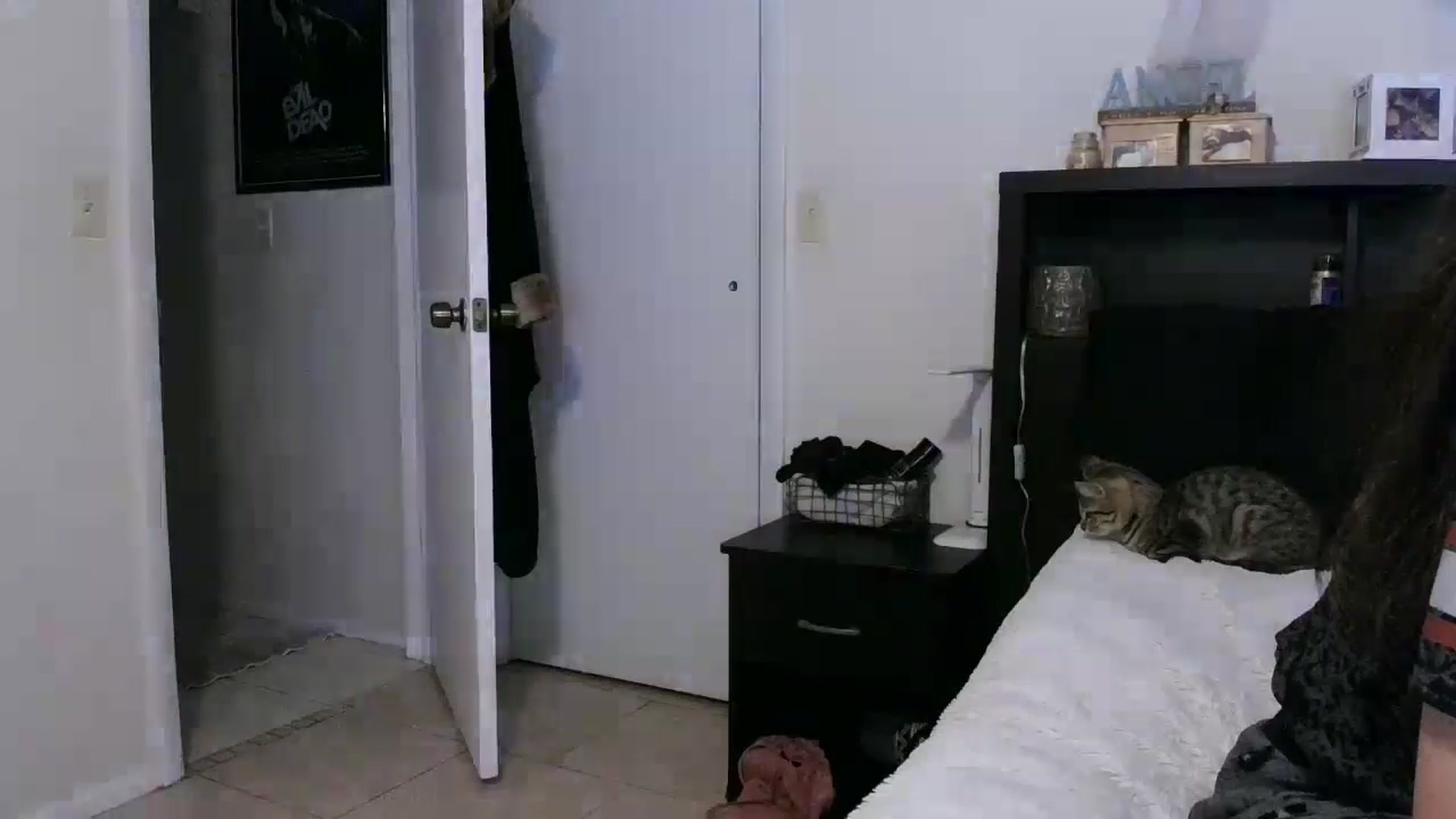 Gallery image thumbnail from CrystalLake's myfreecams stream on, 06/24/2024, 09:28 image 14 of 20