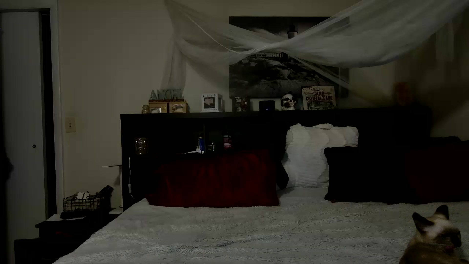 Gallery image thumbnail from CrystalLake's myfreecams stream on, 06/26/2024, 07:31 image 4 of 20