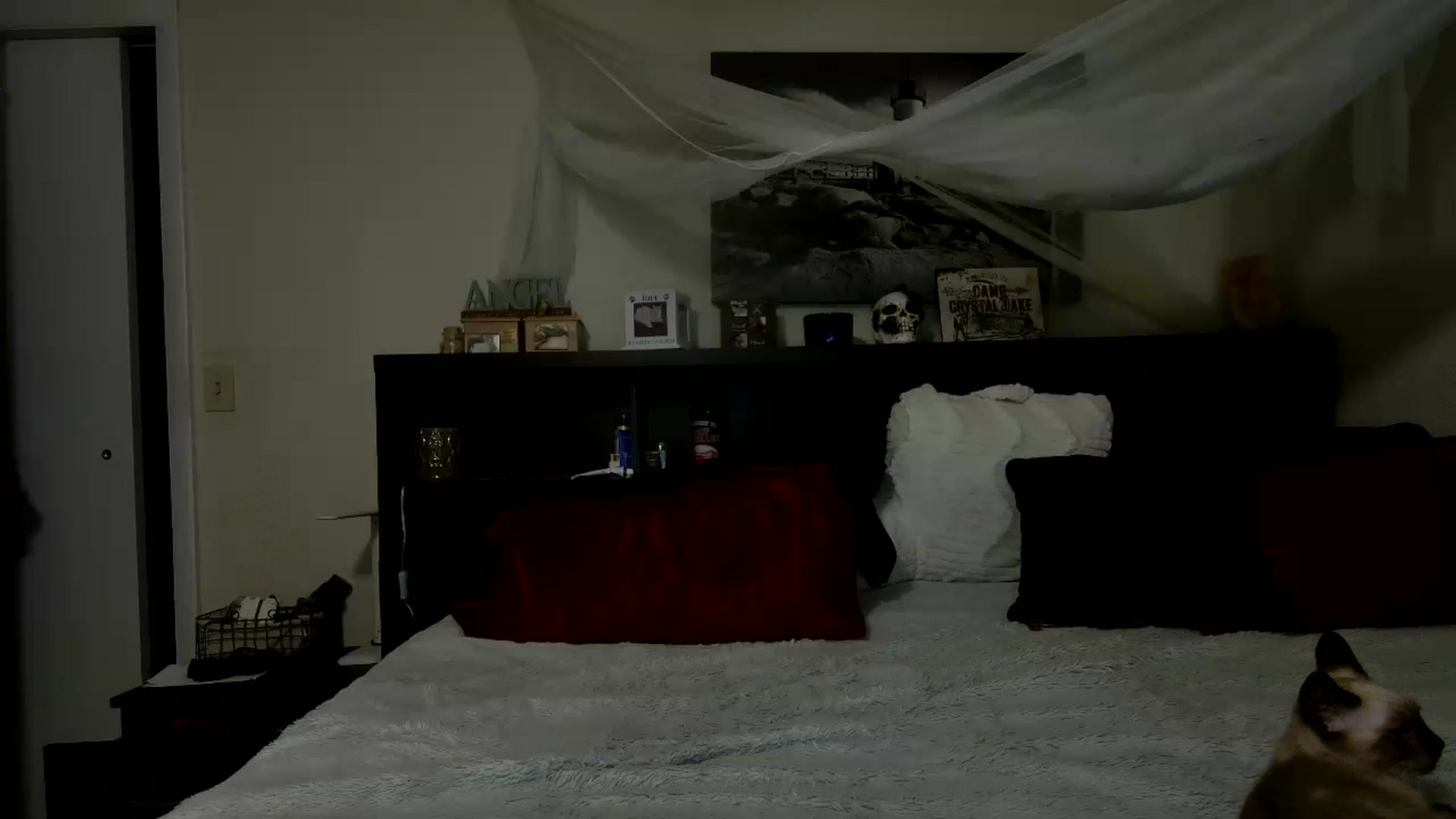Gallery image thumbnail from CrystalLake's myfreecams stream on, 06/26/2024, 07:31 image 5 of 20