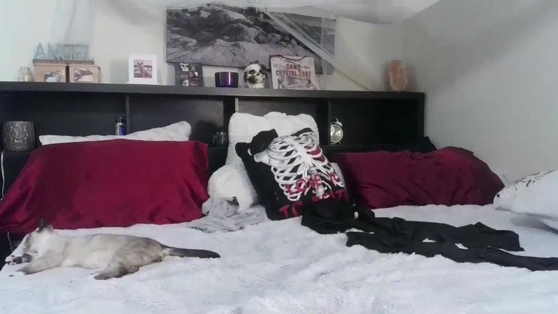 Gallery image thumbnail from CrystalLake's myfreecams stream on, 07/06/2024, 07:02 image 20 of 20