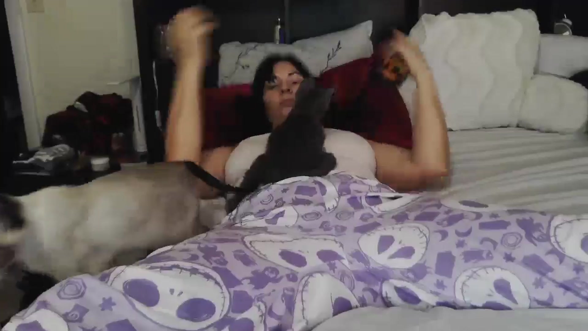 Gallery image thumbnail from CrystalLake's myfreecams stream on, 07/13/2024, 08:03 image 11 of 20