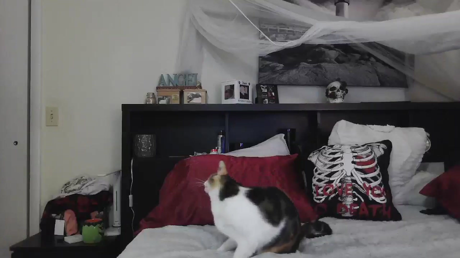 Gallery image thumbnail from CrystalLake's myfreecams stream on, 07/15/2024, 08:08 image 18 of 20