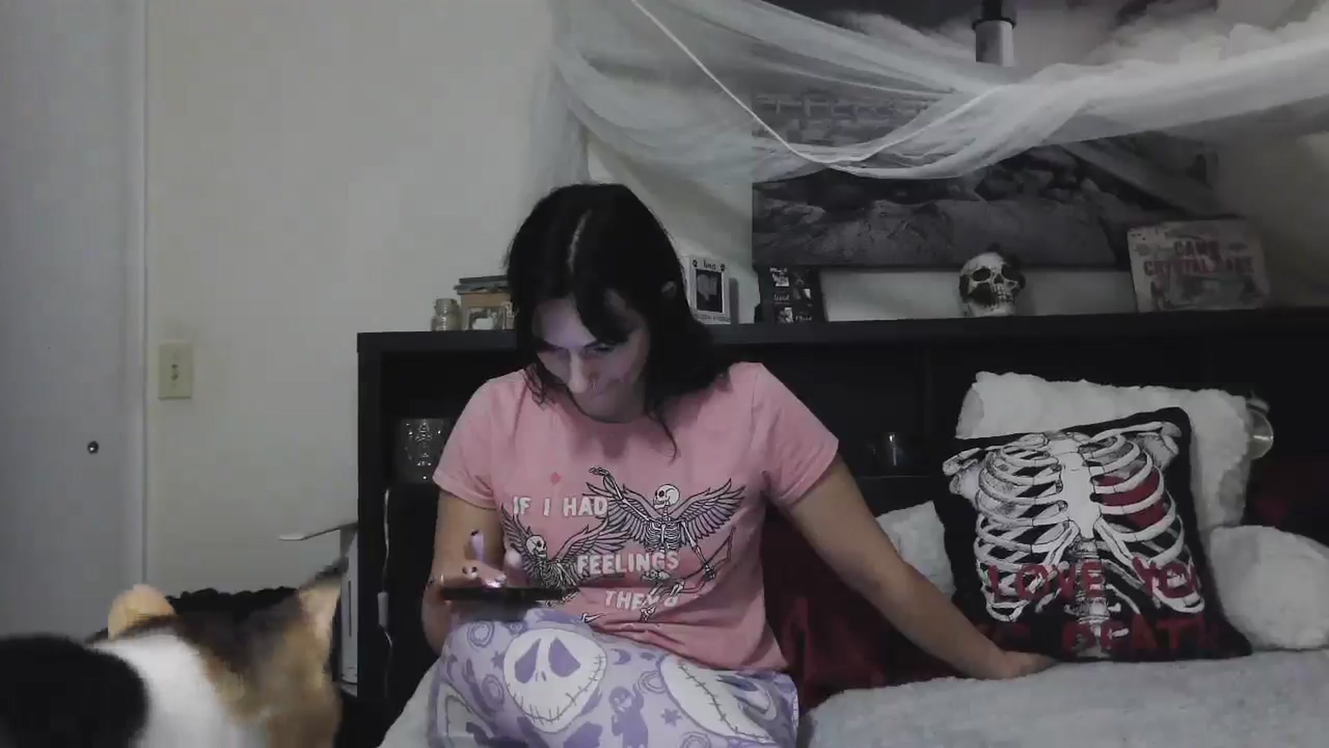 Gallery image thumbnail from CrystalLake's myfreecams stream on, 07/19/2024, 08:45 image 20 of 20