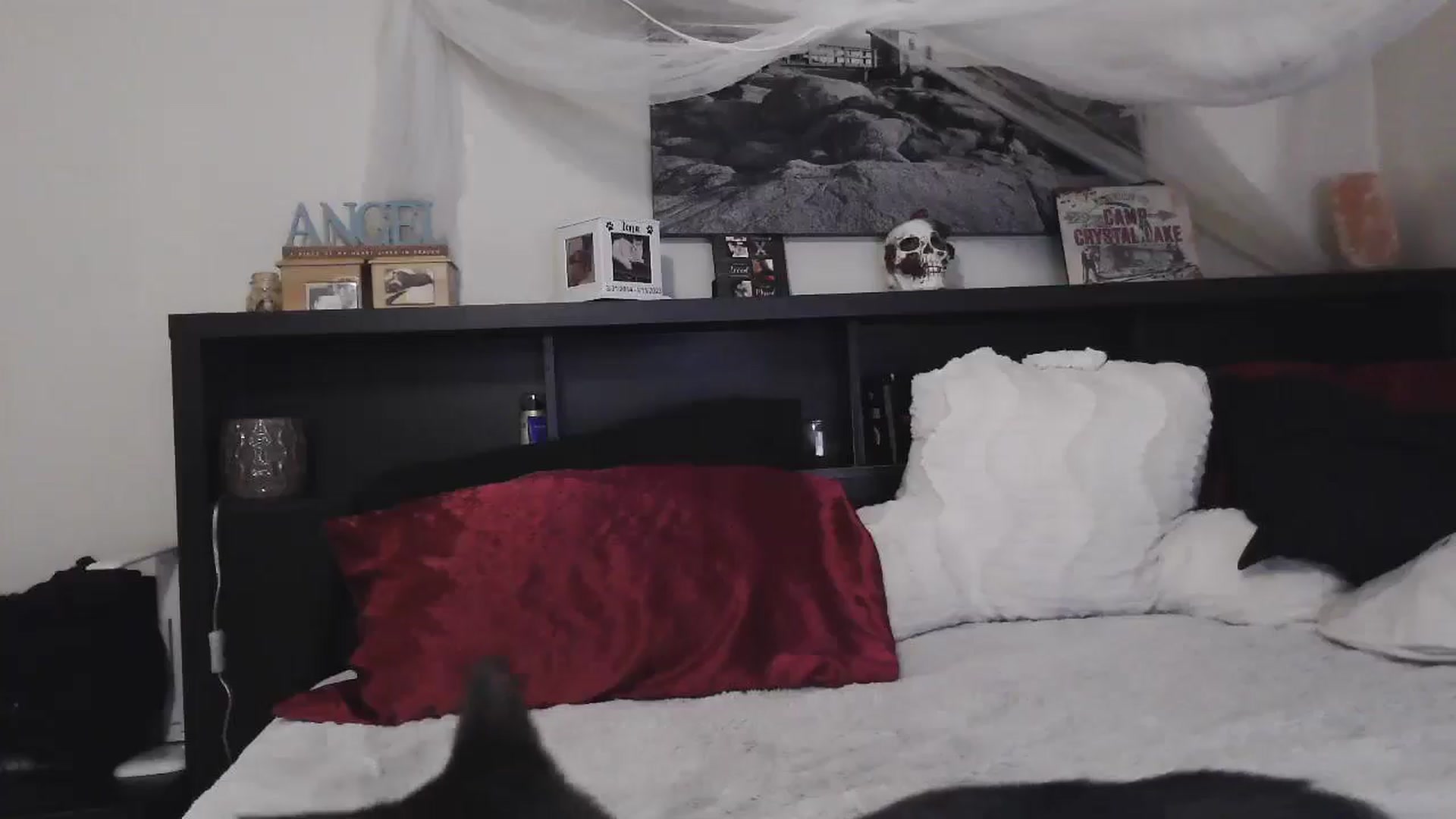 Gallery image thumbnail from CrystalLake's myfreecams stream on, 07/23/2024, 09:04 image 3 of 20