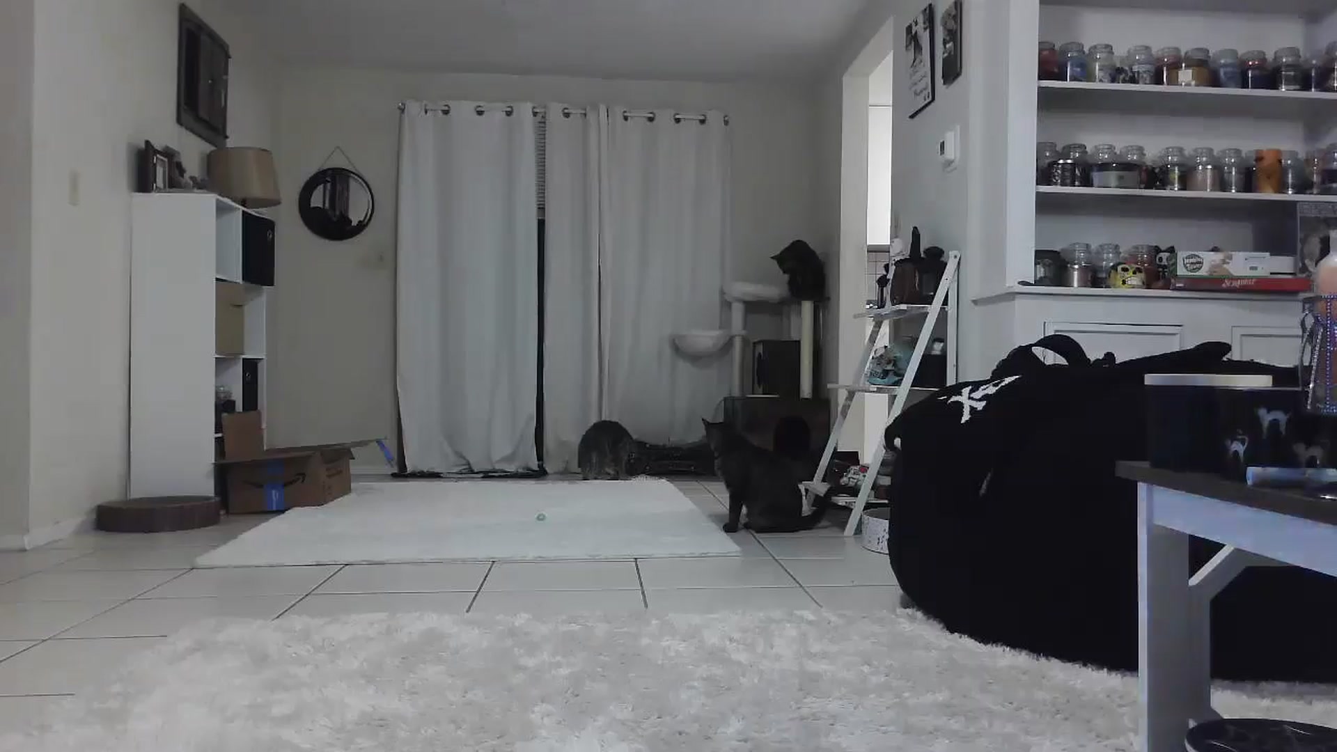 Gallery image thumbnail from CrystalLake's myfreecams stream on, 07/26/2024, 06:58 image 15 of 20