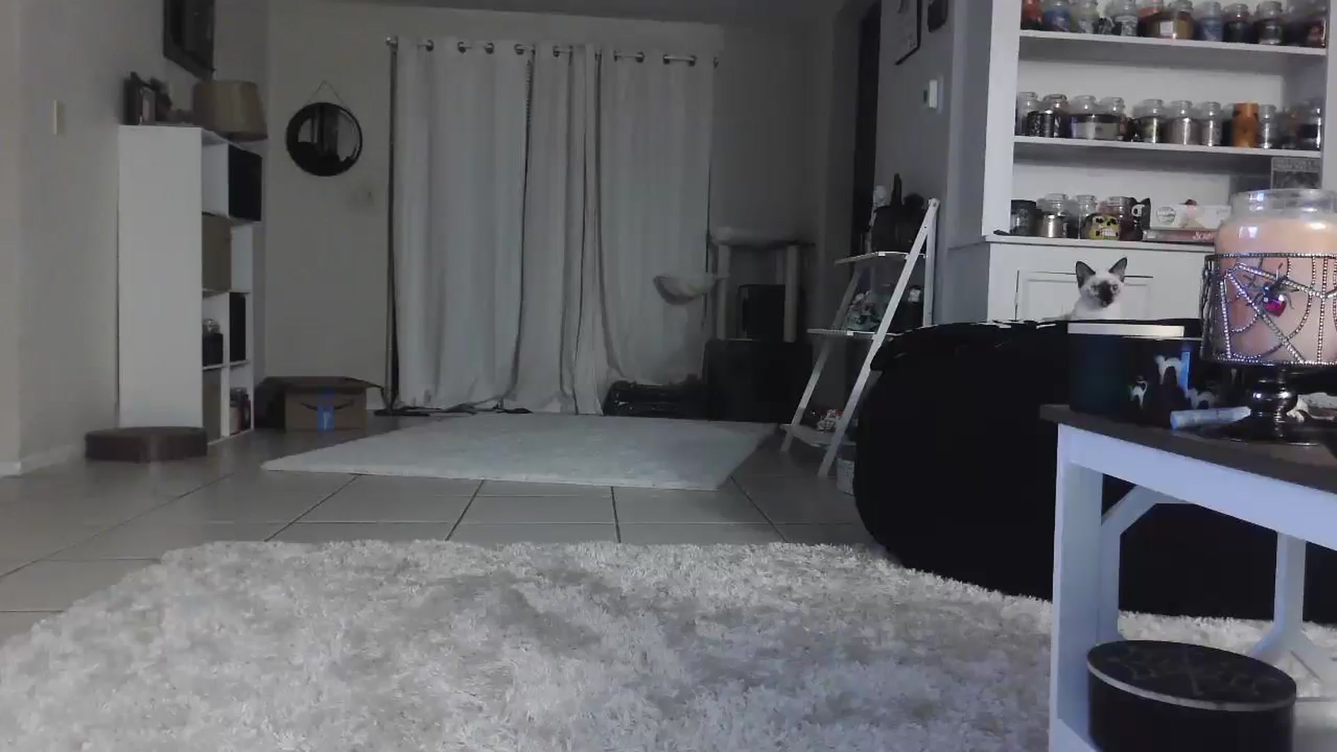 Gallery image thumbnail from CrystalLake's myfreecams stream on, 07/28/2024, 09:22 image 2 of 20