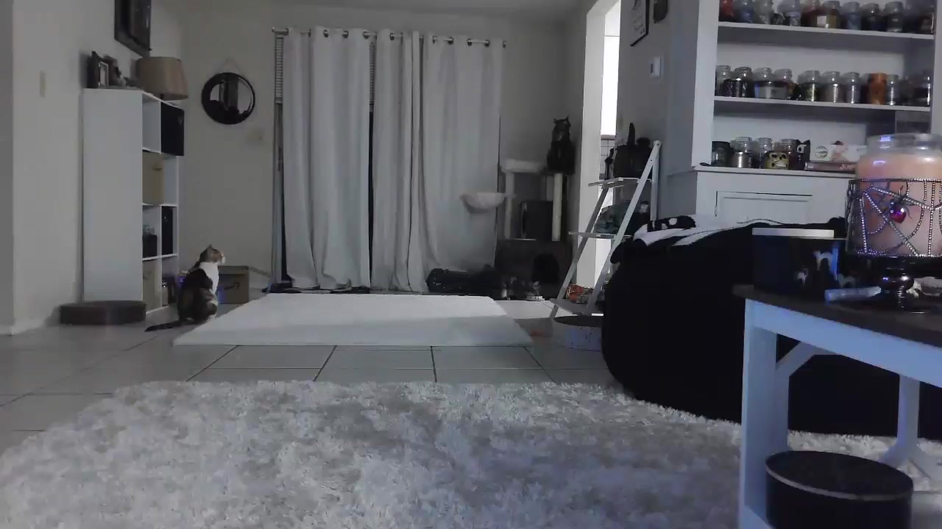 Gallery image thumbnail from CrystalLake's myfreecams stream on, 07/28/2024, 09:22 image 11 of 20