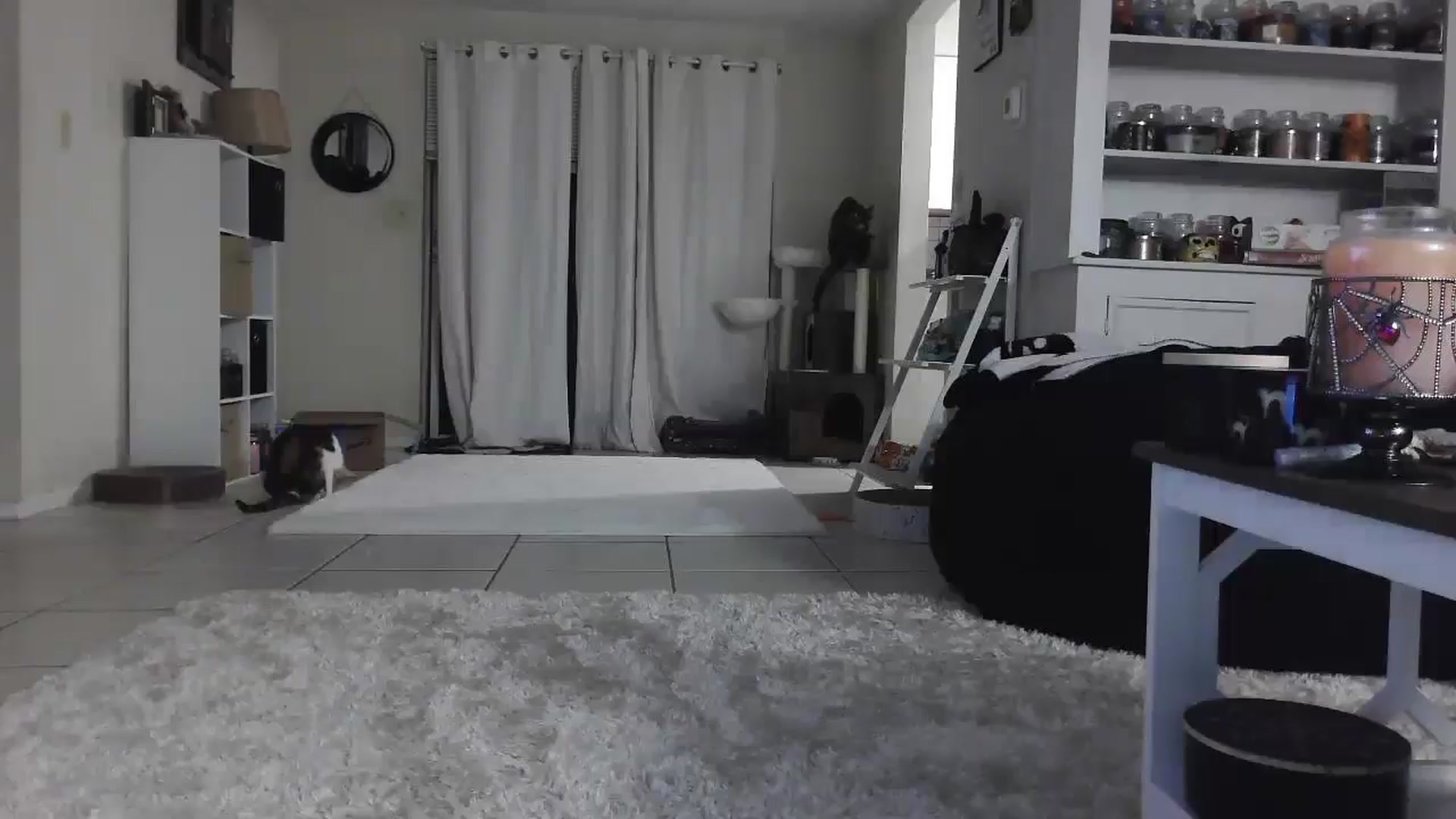 Gallery image thumbnail from CrystalLake's myfreecams stream on, 07/28/2024, 09:22 image 10 of 20