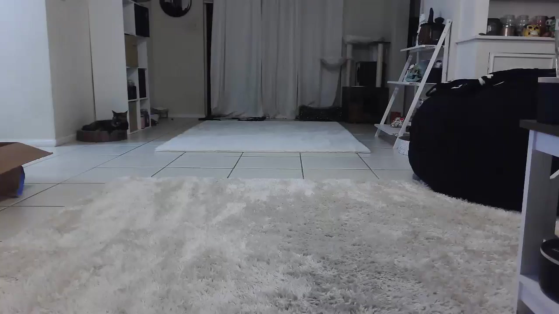 Gallery image thumbnail from CrystalLake's myfreecams stream on, 07/29/2024, 05:16 image 17 of 20