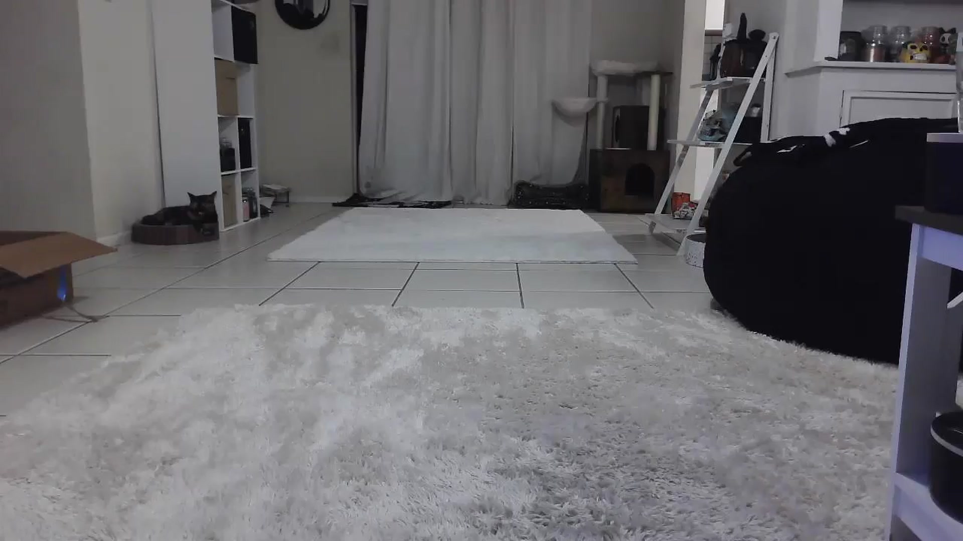 Gallery image thumbnail from CrystalLake's myfreecams stream on, 07/29/2024, 05:16 image 13 of 20