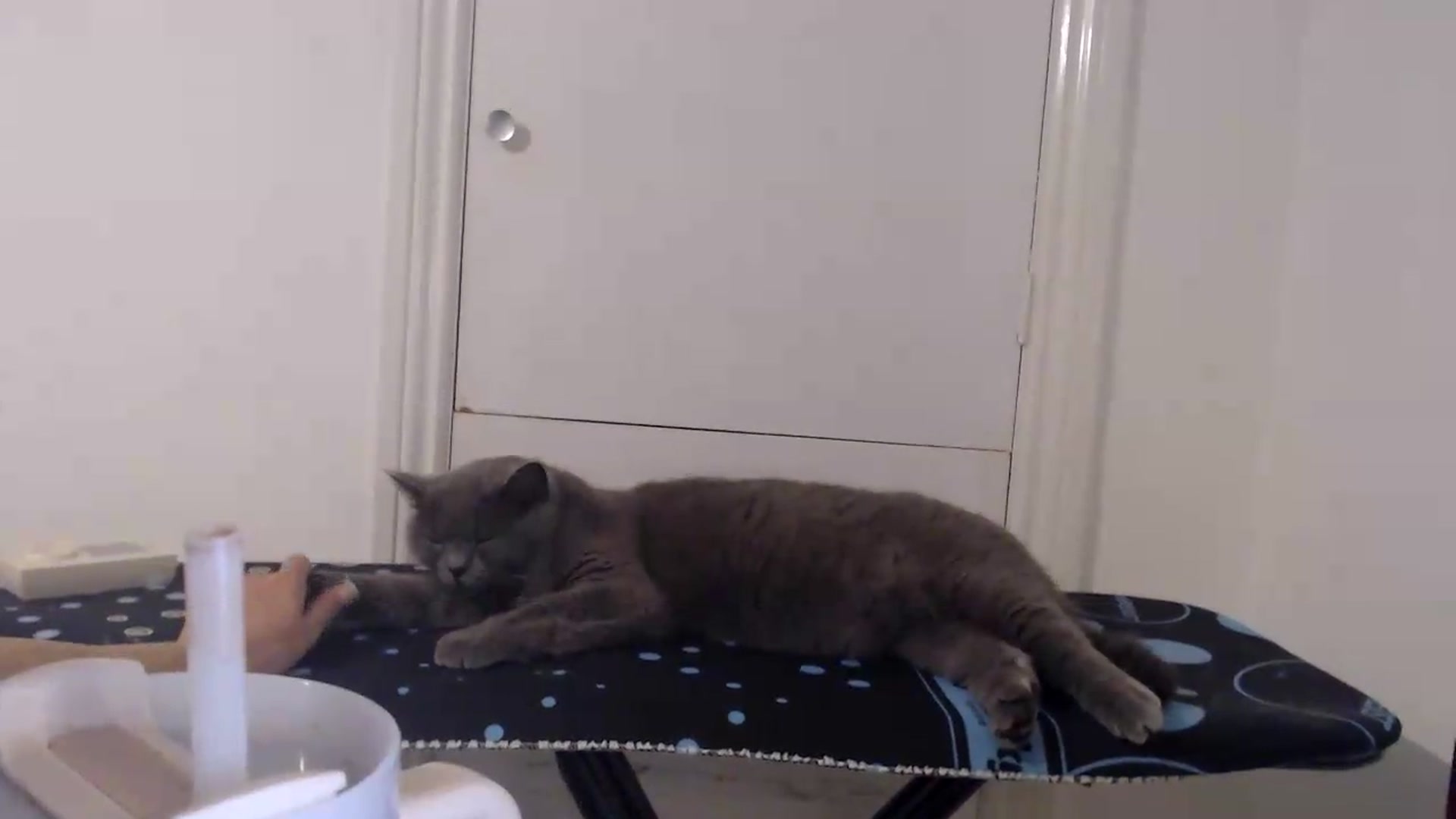 Gallery image thumbnail from Crystal_MFC's myfreecams stream on, 09/02/2026, 20:39 image 10 of 20