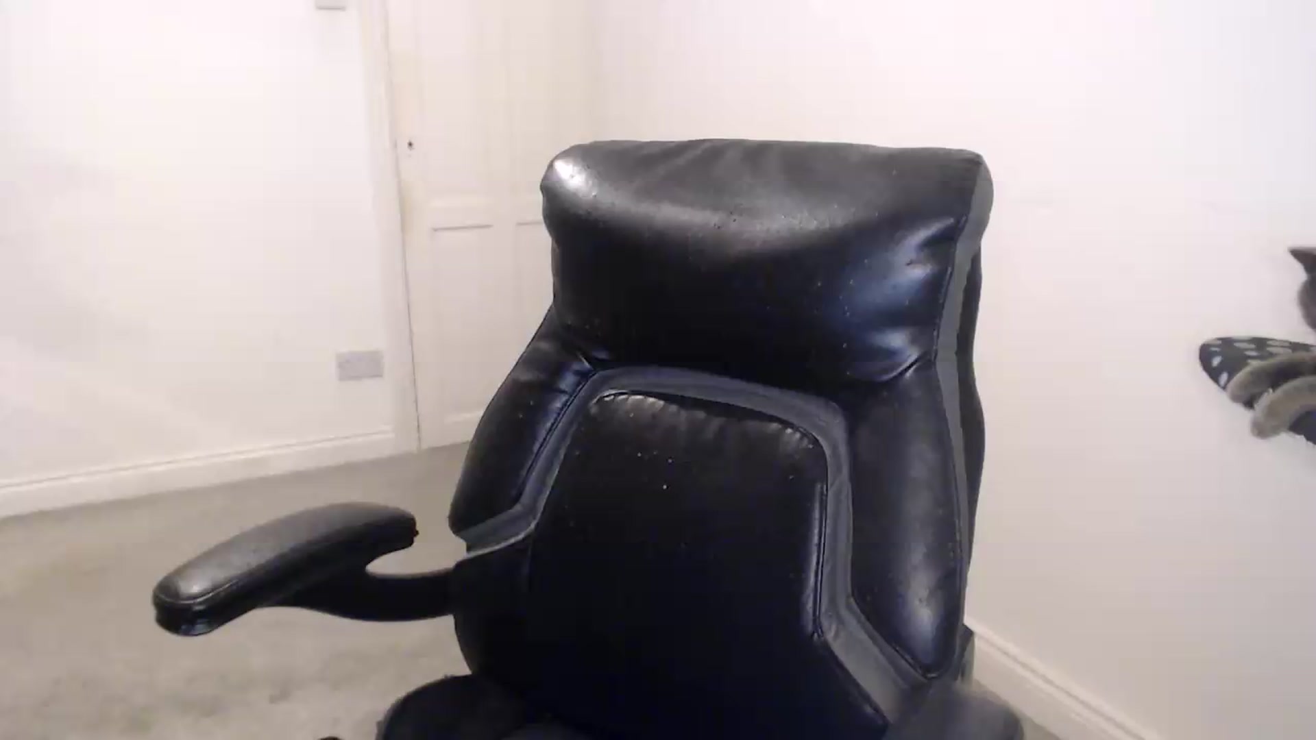 Gallery image thumbnail from Crystal_MFC's myfreecams stream on, 09/12/2026, 21:23 image 13 of 20