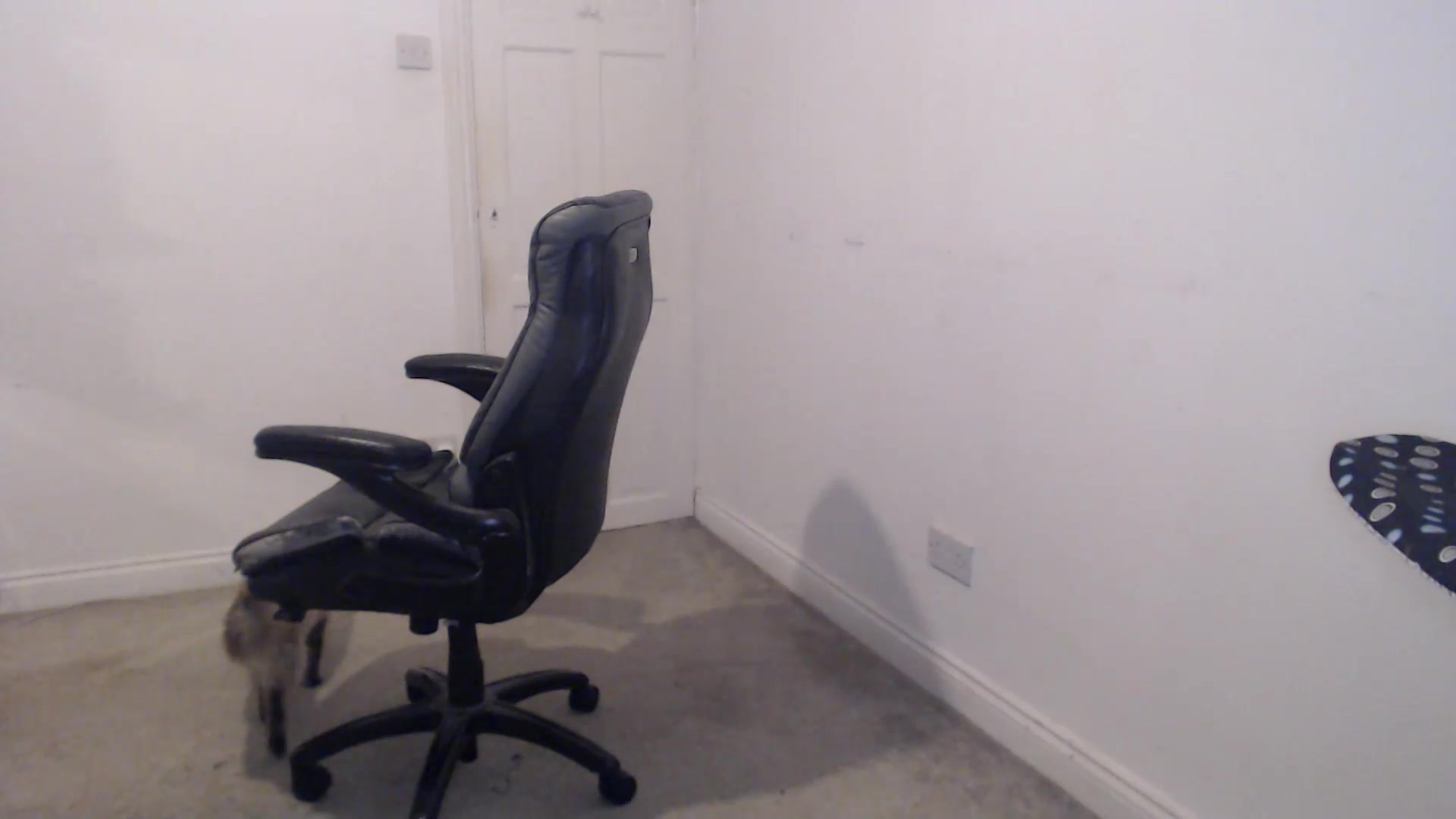 Gallery image thumbnail from Crystal_MFC's myfreecams stream on, 09/18/2026, 22:37 image 11 of 20