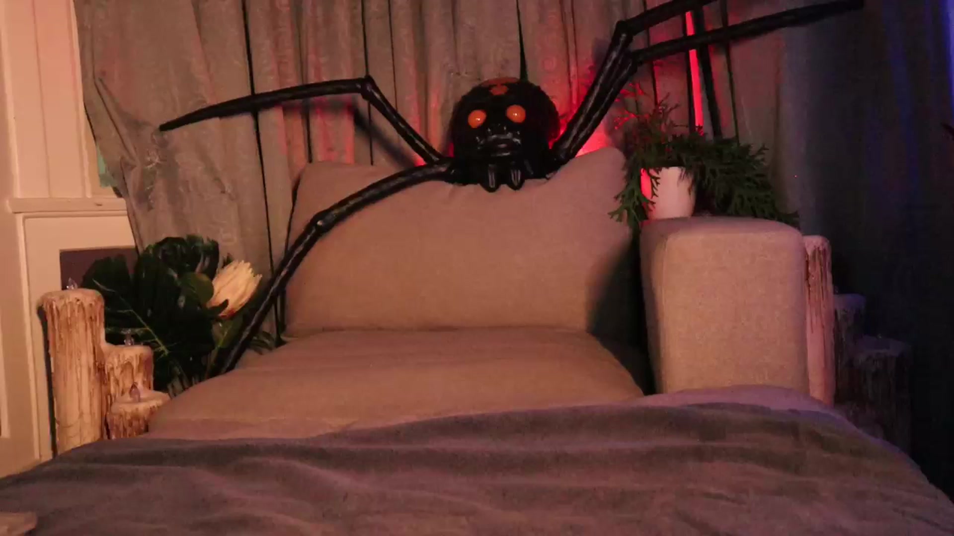 Gallery image thumbnail from Cubbixoxo's myfreecams stream on, 11/11/2023, 06:03 image 10 of 20