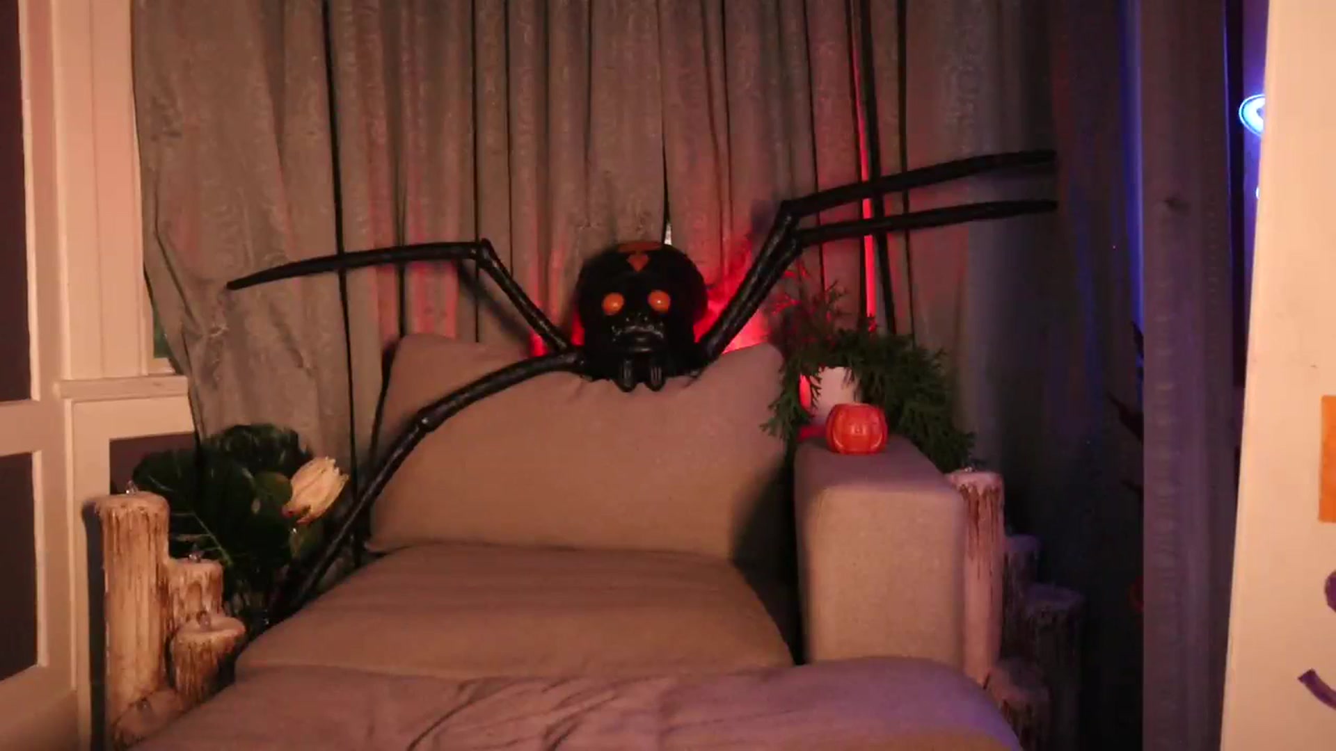 Gallery image thumbnail from Cubbixoxo's myfreecams stream on, 11/11/2023, 06:03 image 7 of 20