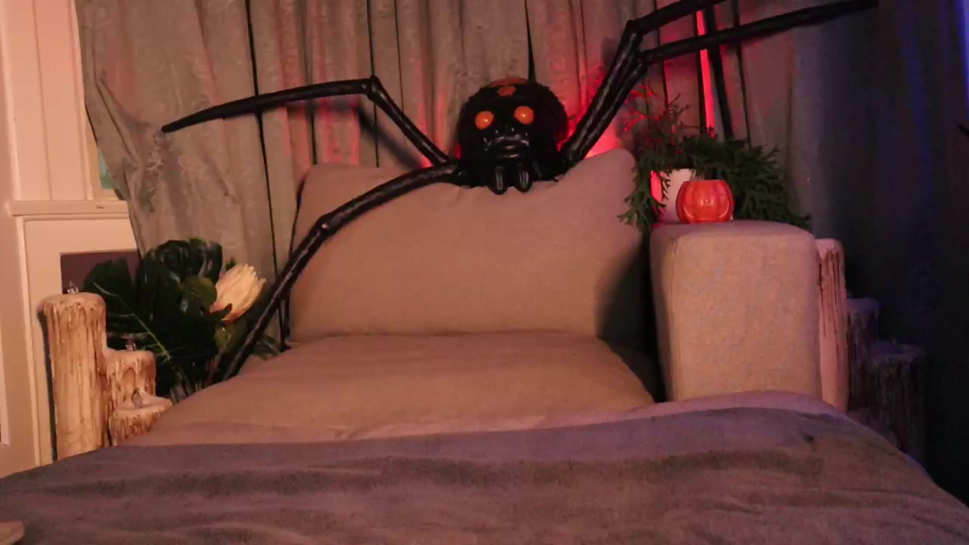 Gallery image thumbnail from Cubbixoxo's myfreecams stream on, 11/11/2023, 06:03 image 9 of 20