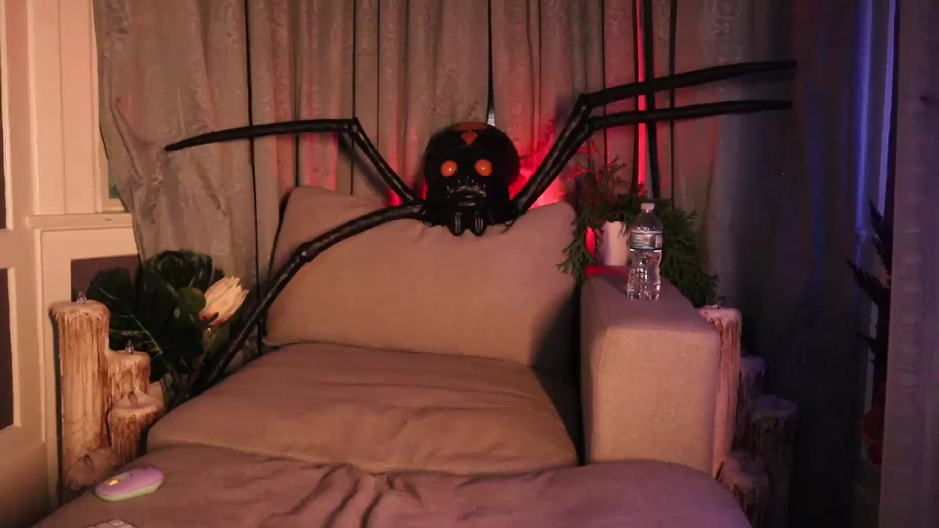 Gallery image thumbnail from Cubbixoxo's myfreecams stream on, 11/11/2023, 06:42 image 6 of 20