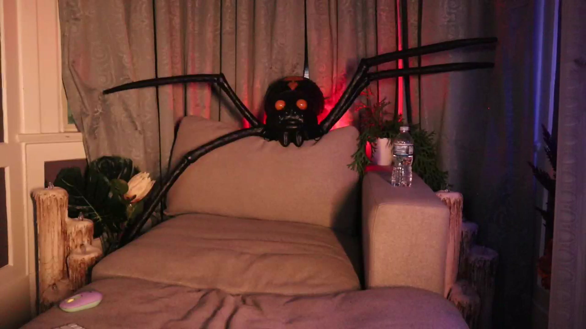 Gallery image thumbnail from Cubbixoxo's myfreecams stream on, 11/11/2023, 06:42 image 7 of 20