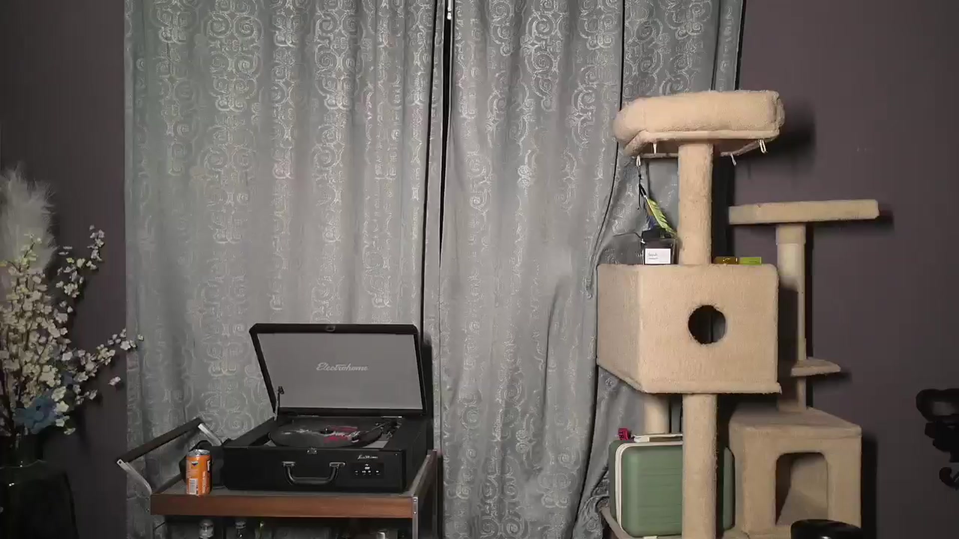 Gallery image thumbnail from Cubbixoxo's myfreecams stream on, 06/15/2024, 03:04 image 3 of 20
