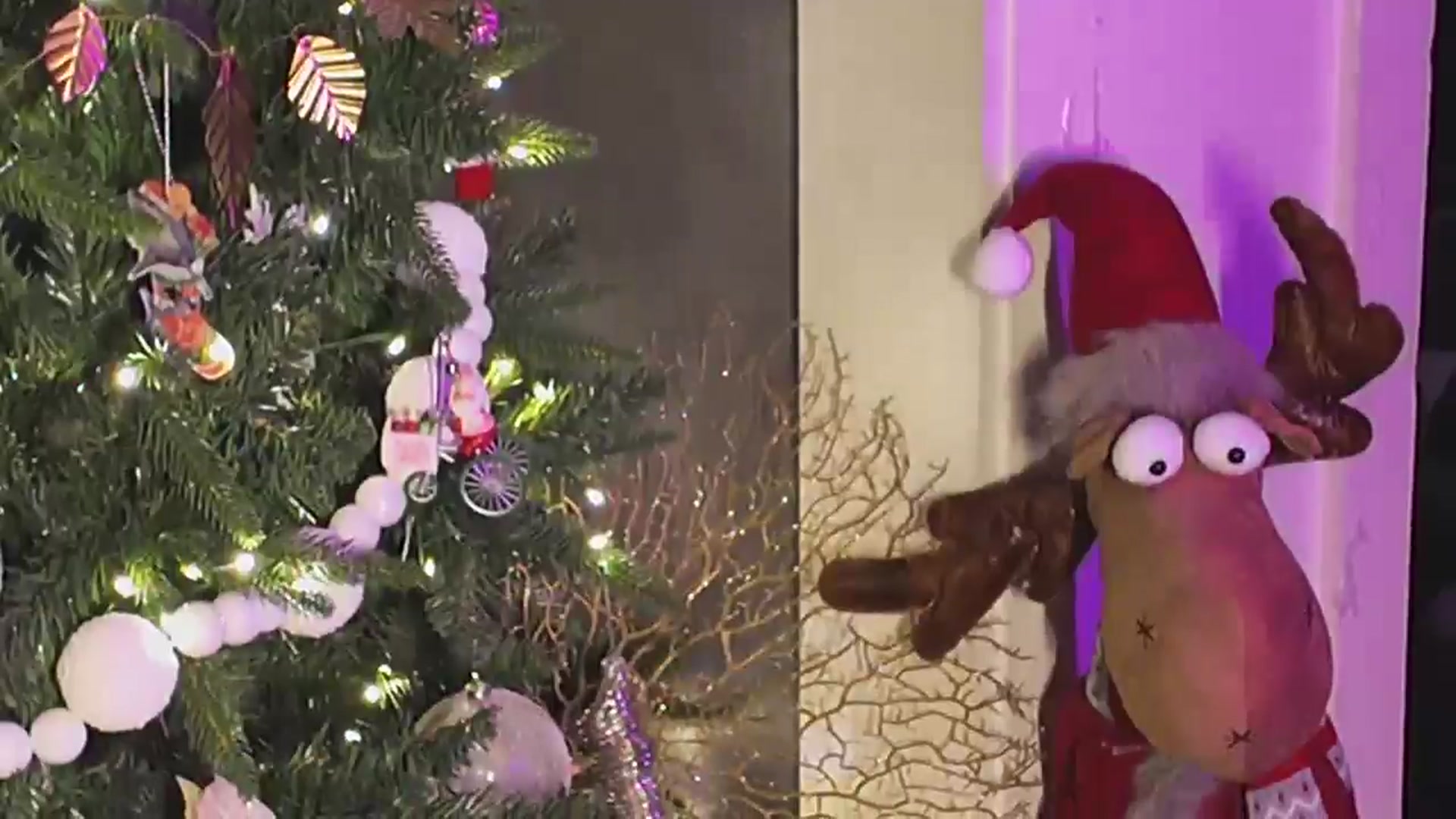 Gallery image thumbnail from Cubbixoxo's myfreecams stream on, 12/12/2024, 06:26 image 3 of 20