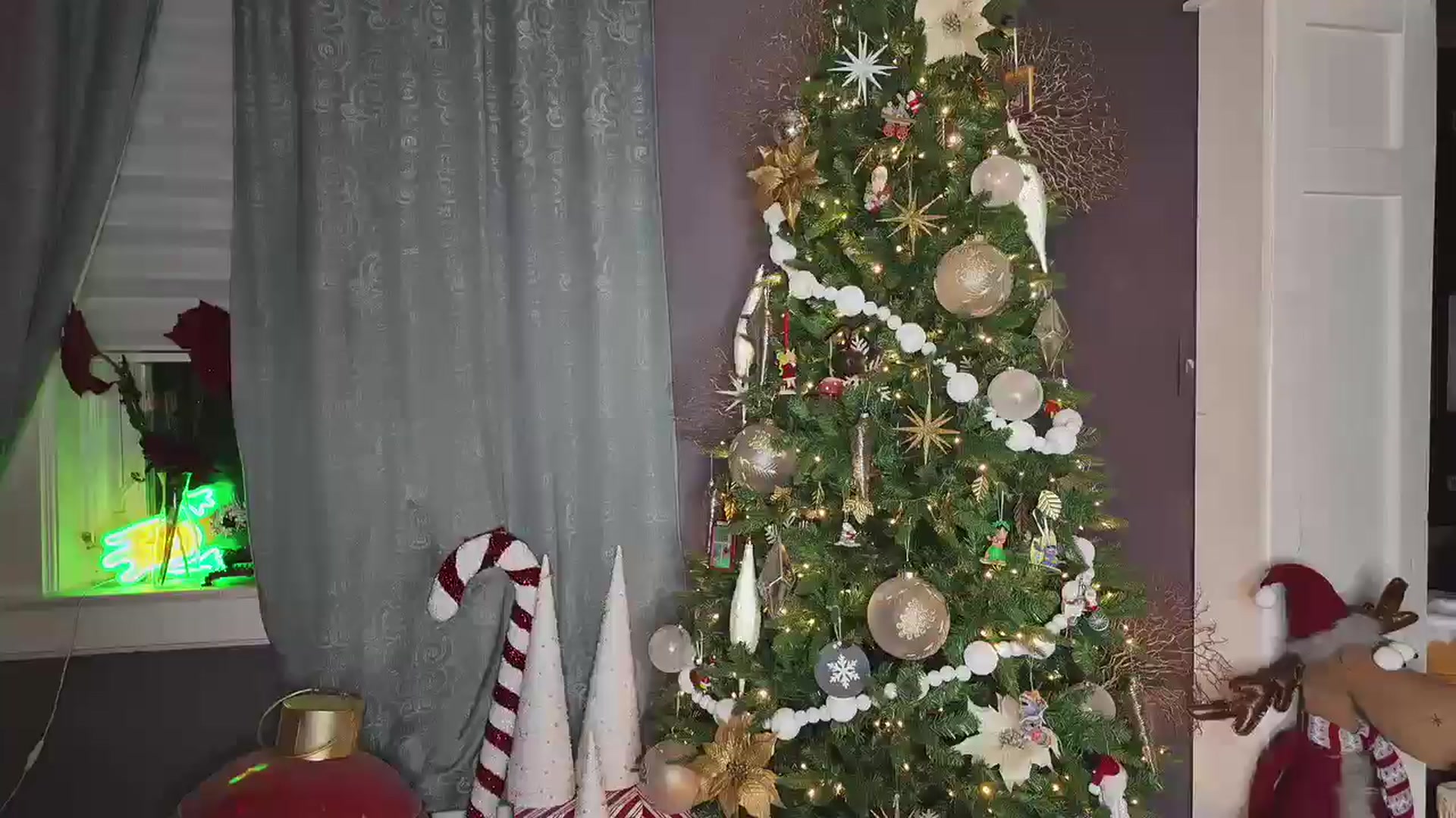 Gallery image thumbnail from Cubbixoxo's myfreecams stream on, 12/21/2024, 05:39 image 13 of 20