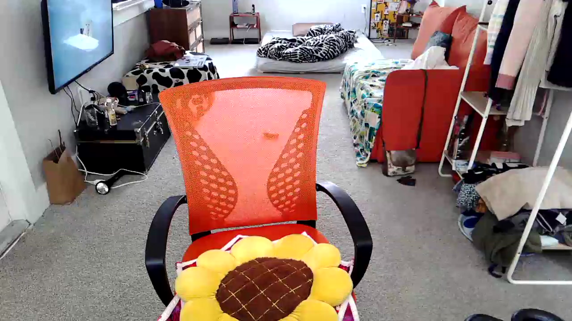 Gallery image thumbnail from CumFe's myfreecams stream on, 06/09/2026, 19:31 image 6 of 20