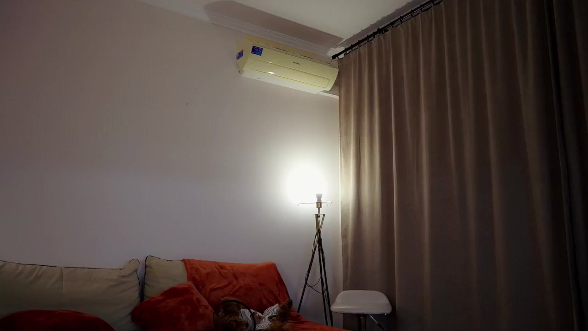 Gallery image thumbnail from Cupidonchik's myfreecams stream on, 04/11/2026, 17:15 image 6 of 20