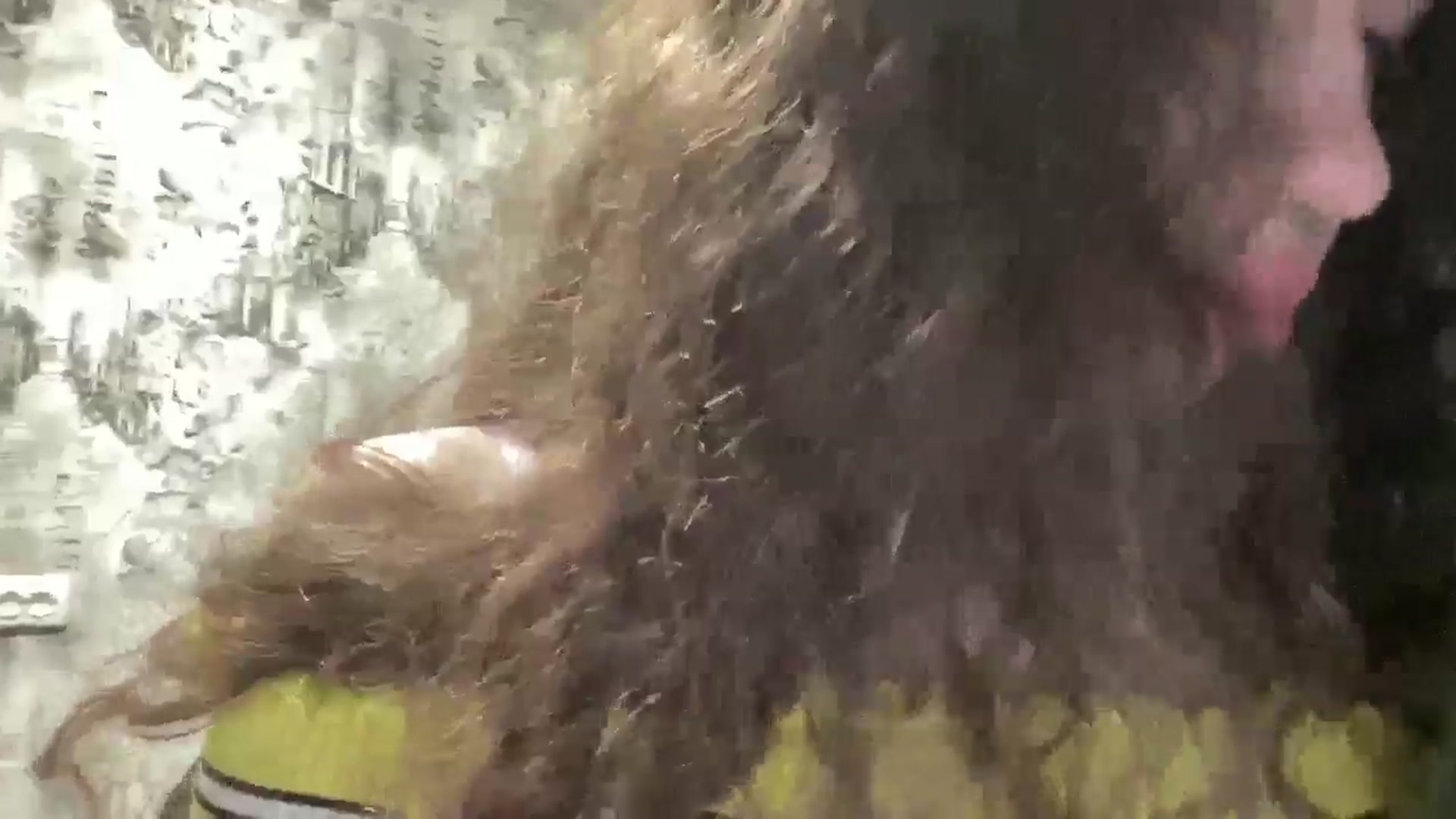 Gallery image thumbnail from CurlyDream's myfreecams stream on, 12/19/2025, 14:46 image 14 of 20