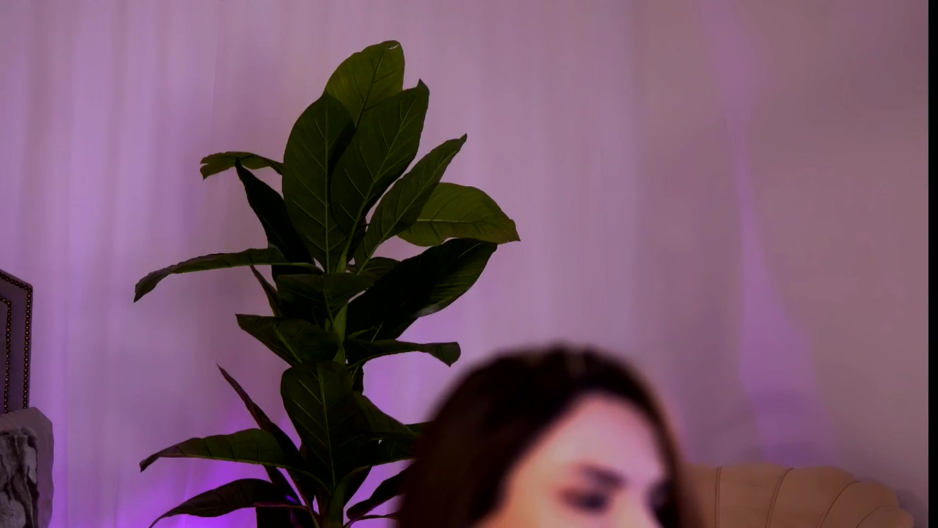 Gallery image thumbnail from CurvedLizzie's myfreecams stream on, 02/03/2026, 22:49 image 11 of 20