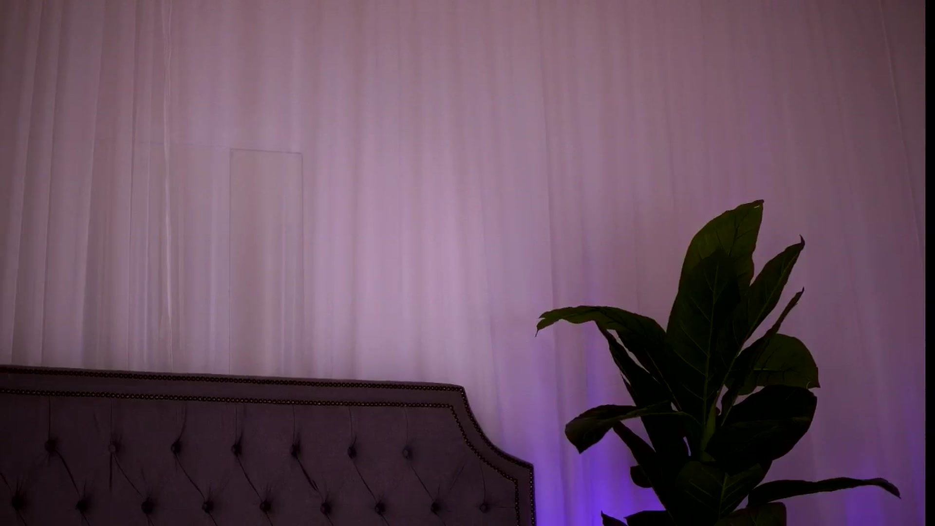 Gallery image thumbnail from CurvedLizzie's myfreecams stream on, 02/24/2026, 02:21 image 6 of 20