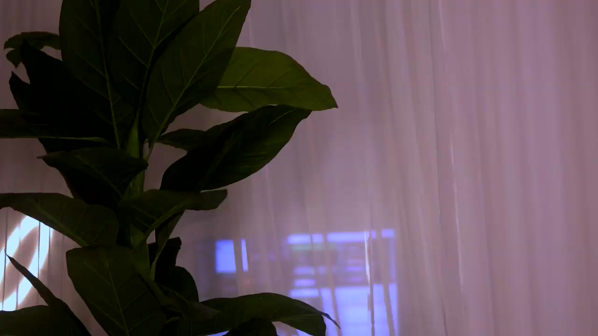 Gallery image thumbnail from CurvedLizzie's myfreecams stream on, 05/22/2026, 03:09 image 13 of 20