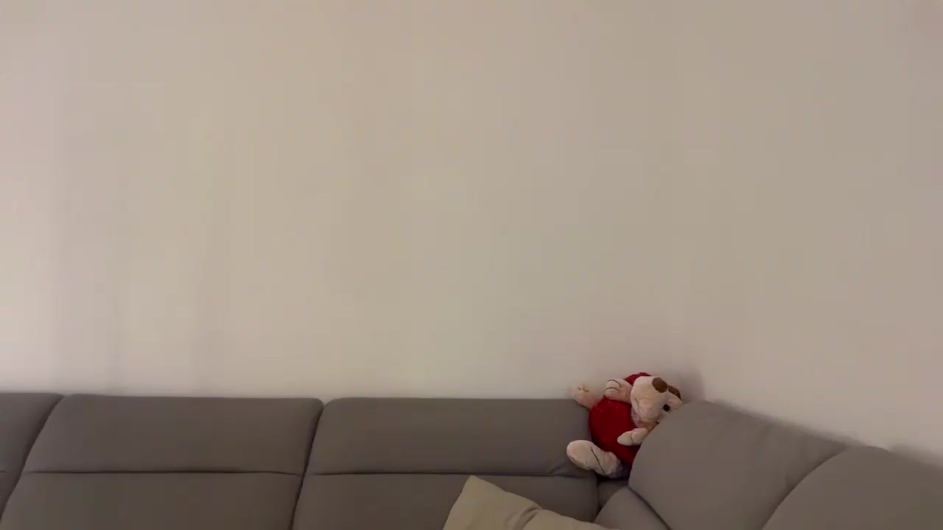 Gallery image thumbnail from CuteSisi's myfreecams stream on, 06/12/2026, 22:45 image 16 of 20