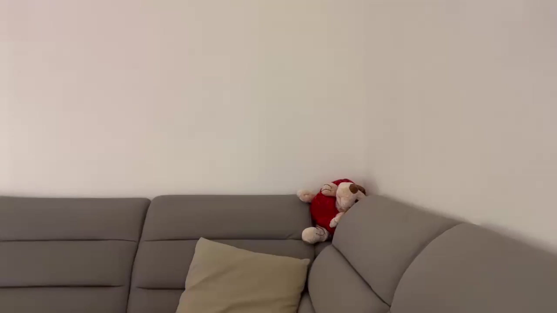 Gallery image thumbnail from CuteSisi's myfreecams stream on, 07/10/2026, 21:47 image 17 of 20