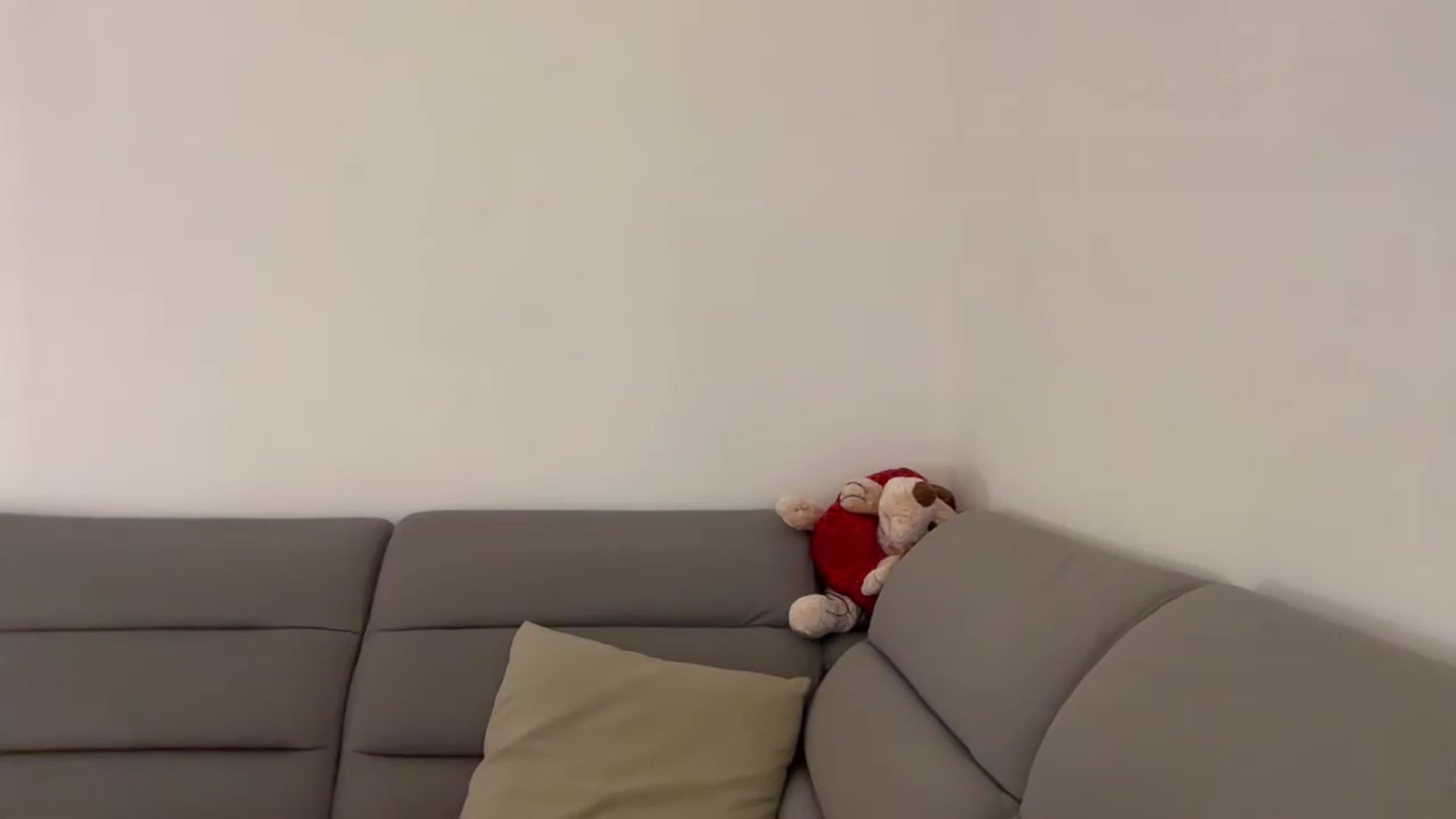 Gallery image thumbnail from CuteSisi's myfreecams stream on, 07/10/2026, 21:47 image 18 of 20