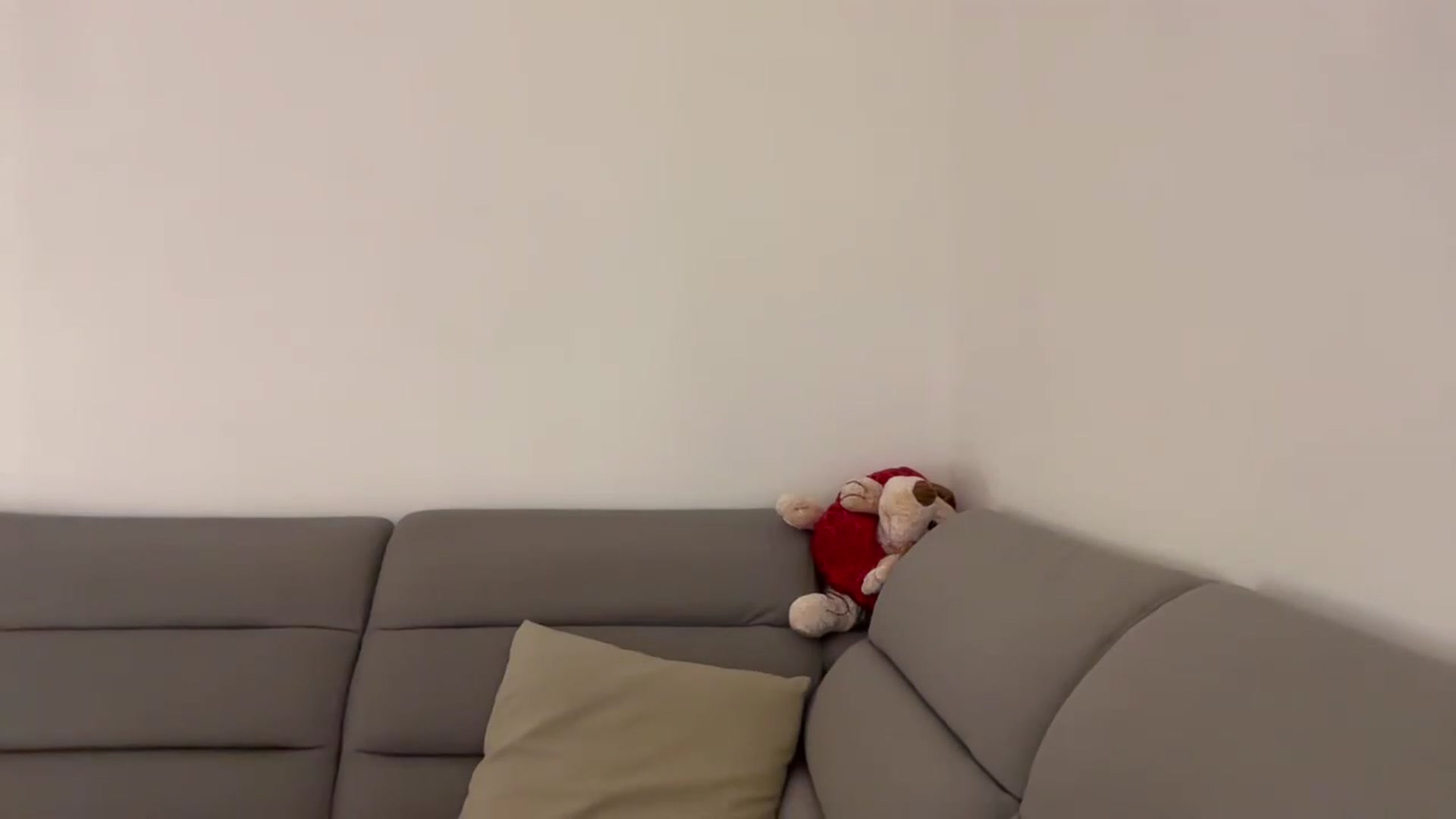 Gallery image thumbnail from CuteSisi's myfreecams stream on, 07/10/2026, 21:47 image 16 of 20