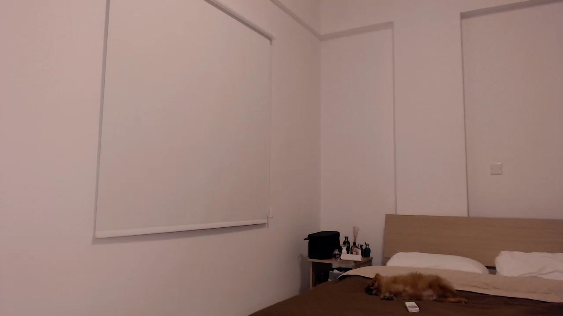 Gallery image thumbnail from Cute_BB's myfreecams stream on, 12/12/2022, 20:17 image 20 of 20