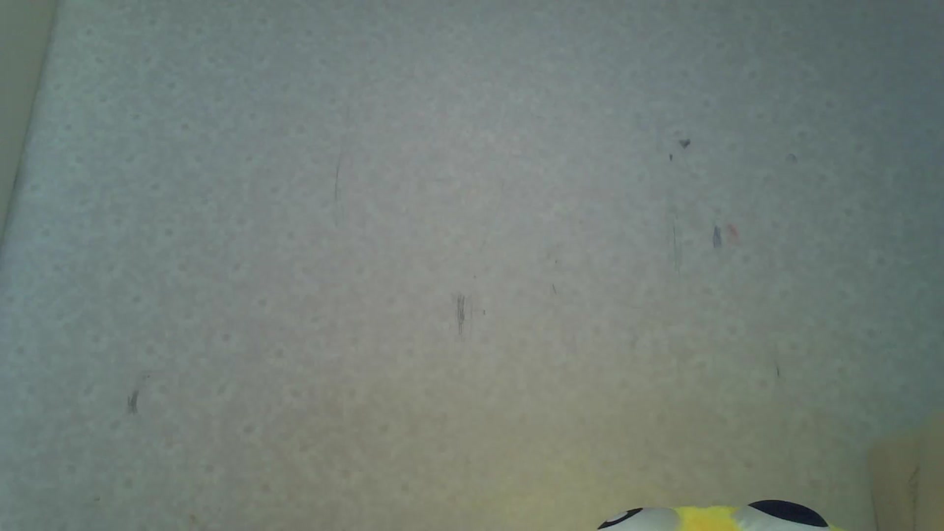 Gallery image thumbnail from Cute_TinyAni's myfreecams stream on, 10/07/2024, 07:37 image 10 of 20