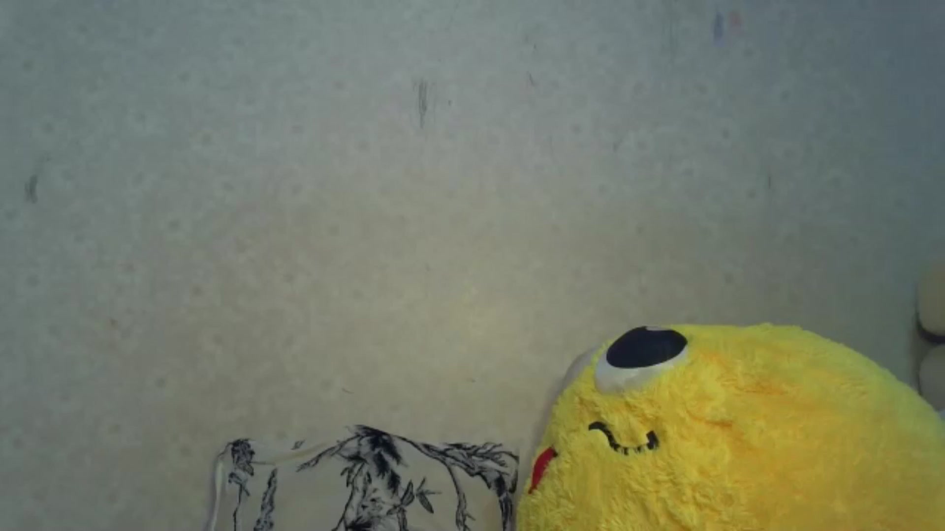 Gallery image thumbnail from Cute_TinyAni's myfreecams stream on, 10/18/2024, 21:05 image 5 of 20