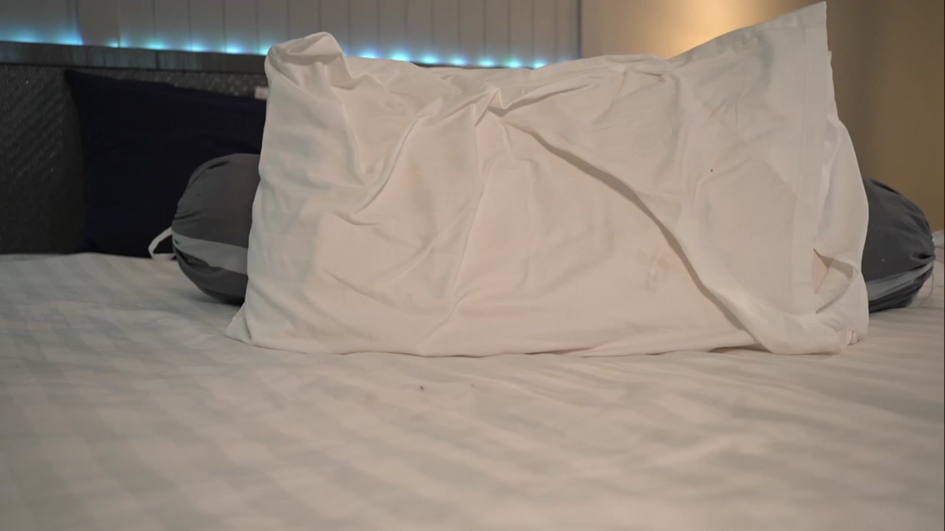 Gallery image thumbnail from Cute__foxy's myfreecams stream on, 03/08/2023, 16:16 image 5 of 20