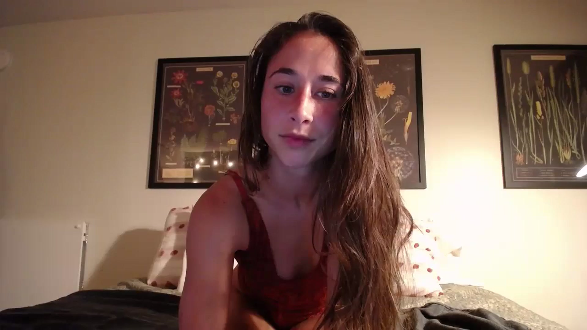 Gallery image thumbnail from Cutelittlefox's myfreecams stream on, 07/25/2024, 24:40 image 11 of 20