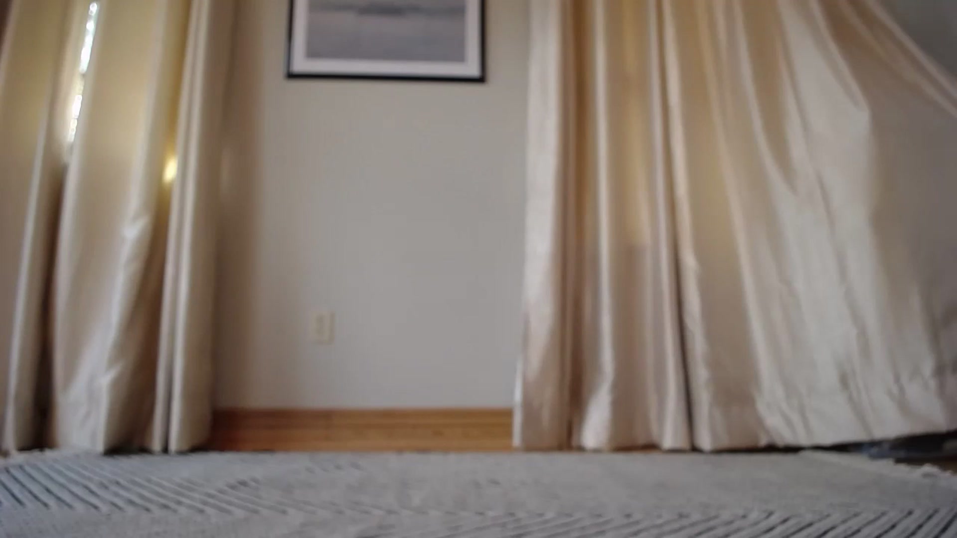 Gallery image thumbnail from Cutelittlefox's myfreecams stream on, 11/07/2024, 19:11 image 15 of 20