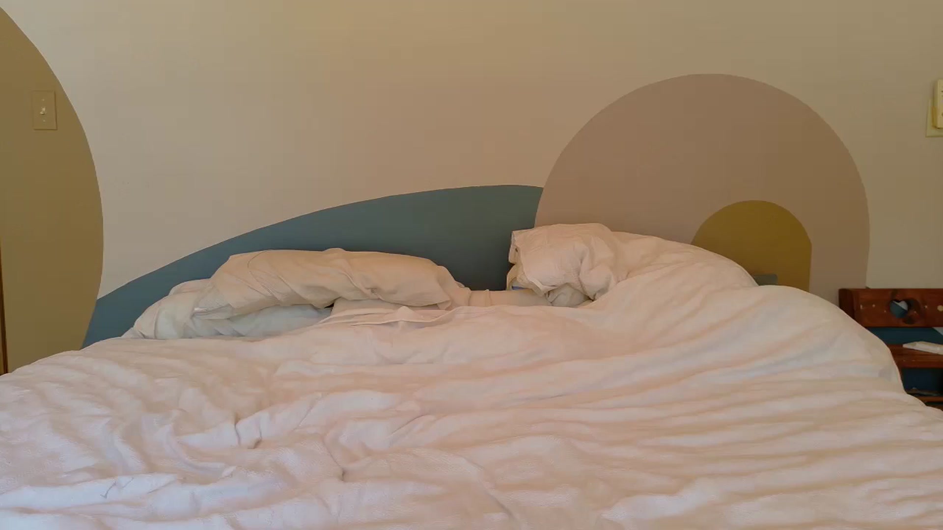 Gallery image thumbnail from Cutelittlefox's myfreecams stream on, 08/25/2025, 18:33 image 19 of 20