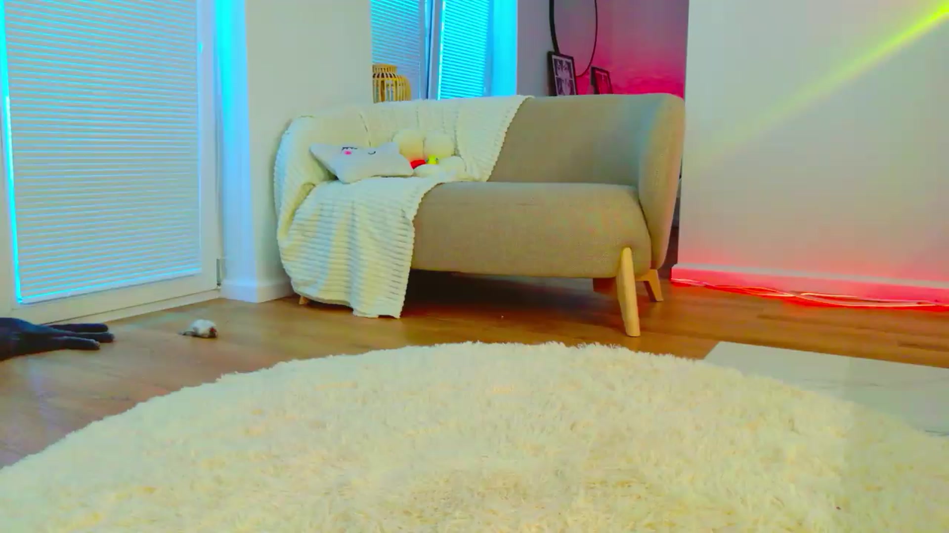 Gallery image thumbnail from Cutielola's myfreecams stream on, 06/26/2026, 08:08 image 12 of 20