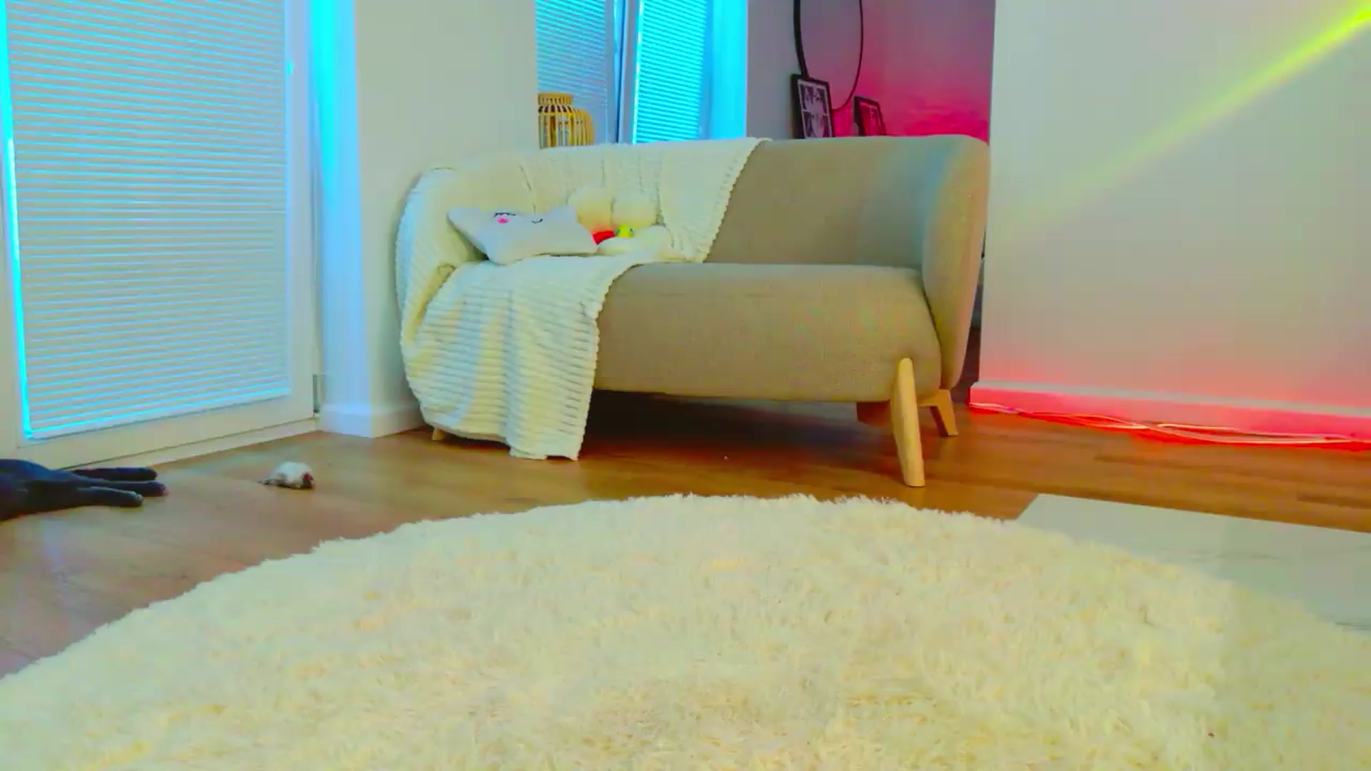 Gallery image thumbnail from Cutielola's myfreecams stream on, 06/26/2026, 08:08 image 11 of 20