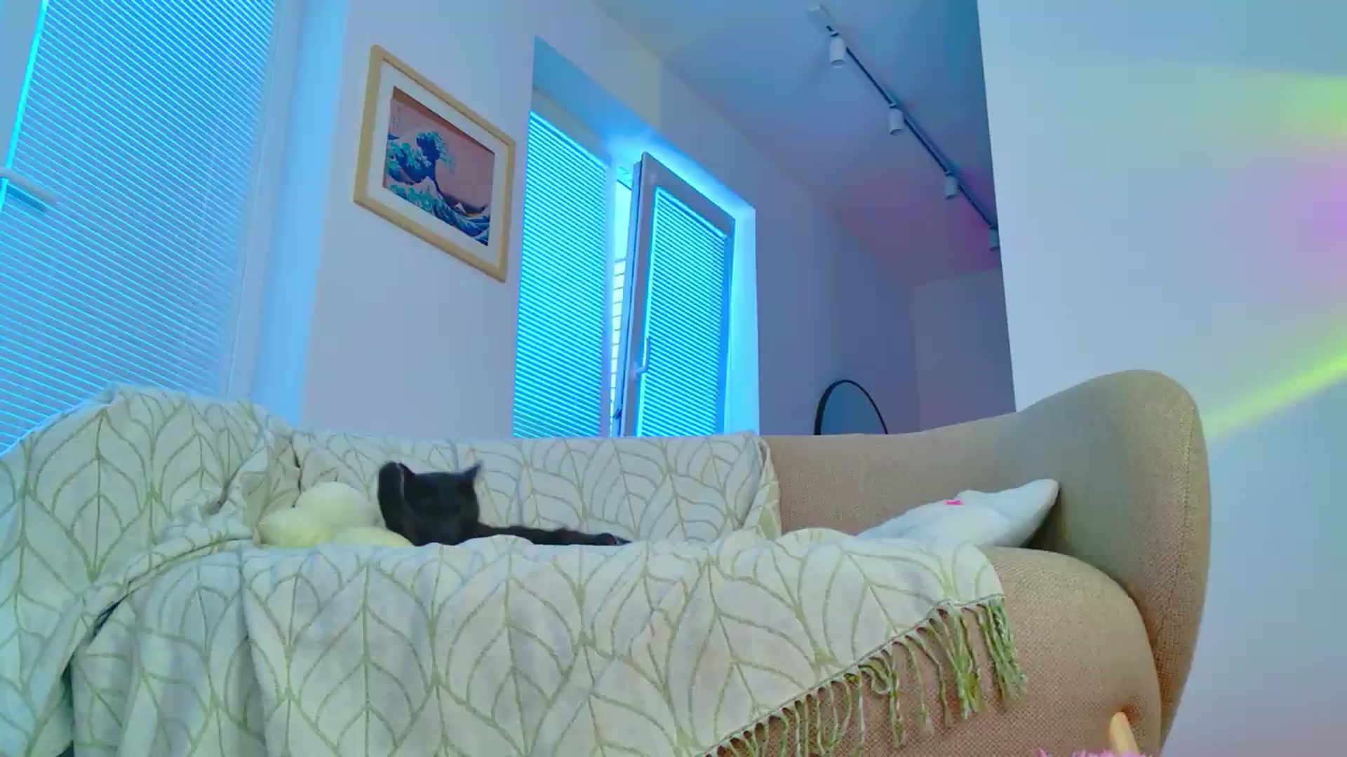 Gallery image thumbnail from Cutielola's myfreecams stream on, 07/08/2026, 08:38 image 4 of 20