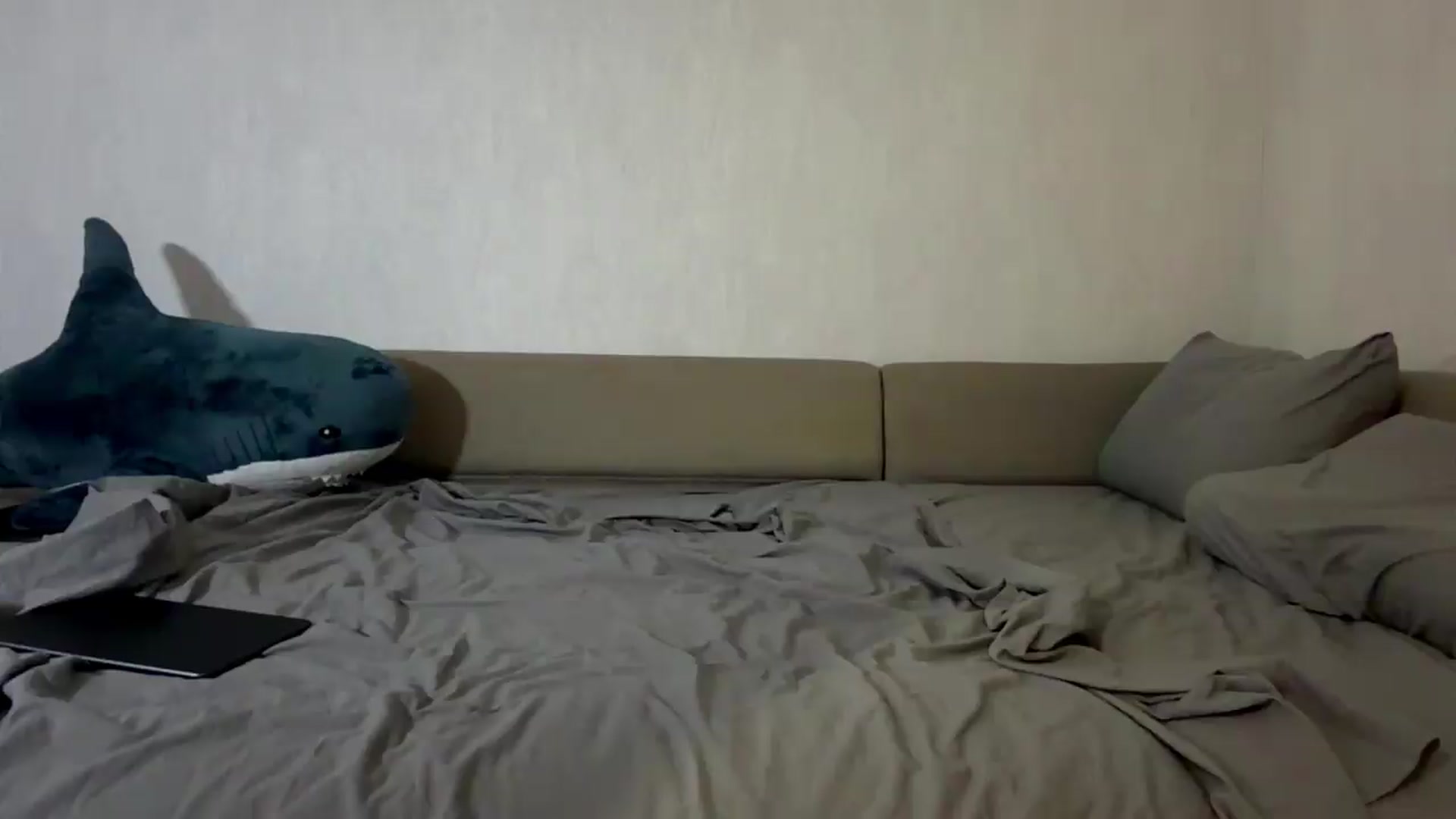 Gallery image thumbnail from Cutieshowy's myfreecams stream on, 09/08/2026, 02:54 image 15 of 20