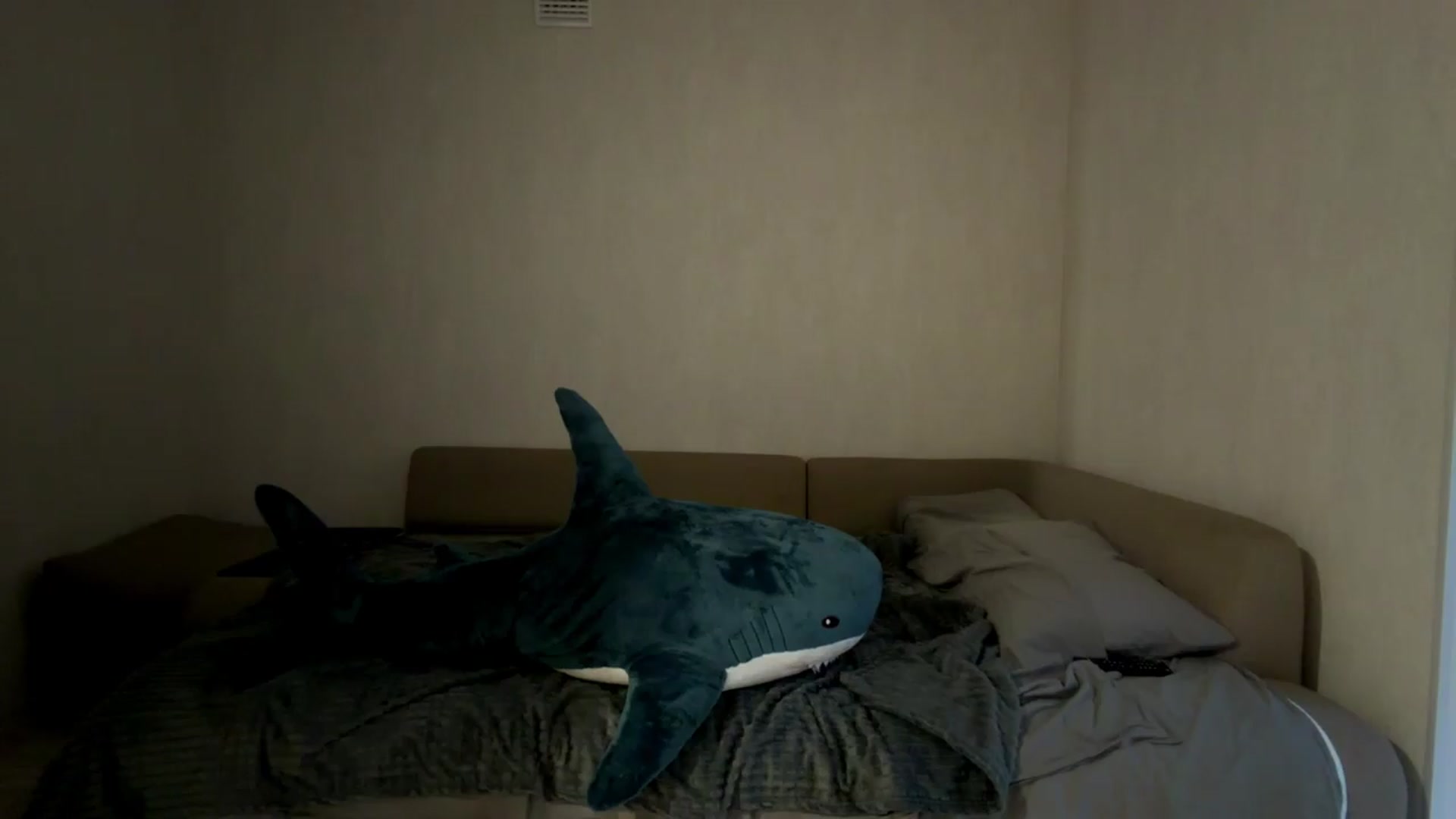 Gallery image thumbnail from Cutieshowy's myfreecams stream on, 09/18/2026, 03:44 image 15 of 20