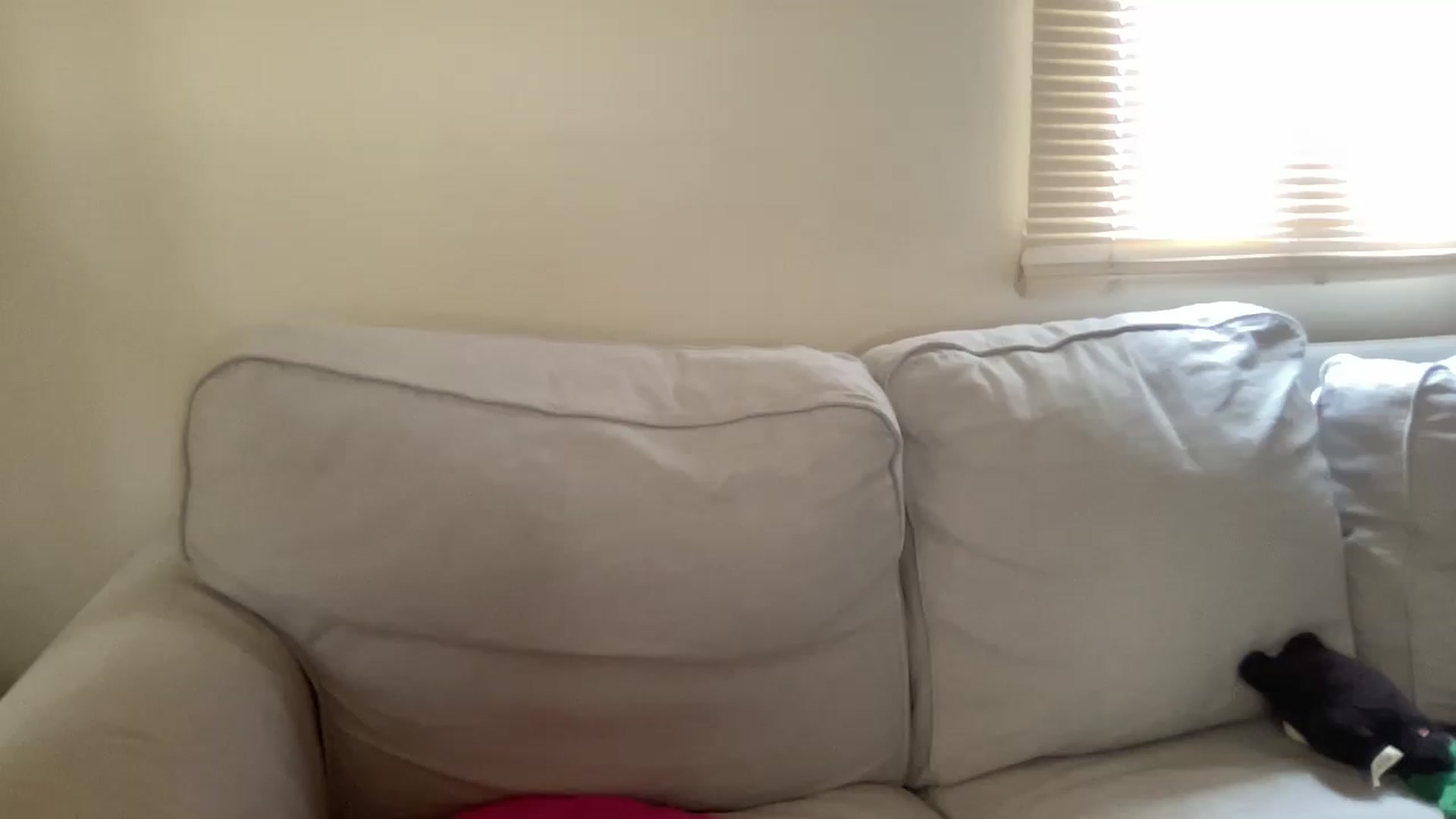 Gallery image thumbnail from Cutiexxxx's myfreecams stream on, 05/07/2023, 12:02 image 11 of 20
