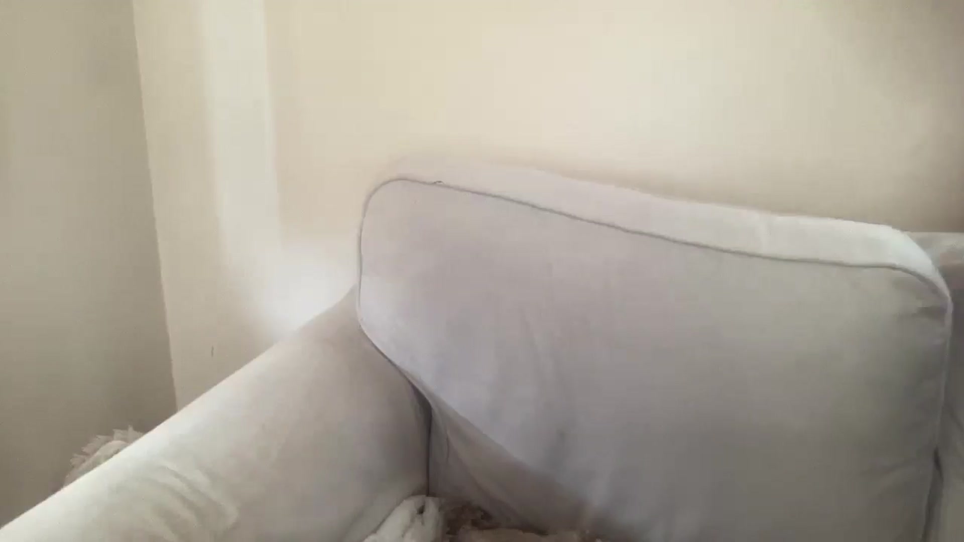 Gallery image thumbnail from Cutiexxxx's myfreecams stream on, 08/28/2025, 10:29 image 13 of 20